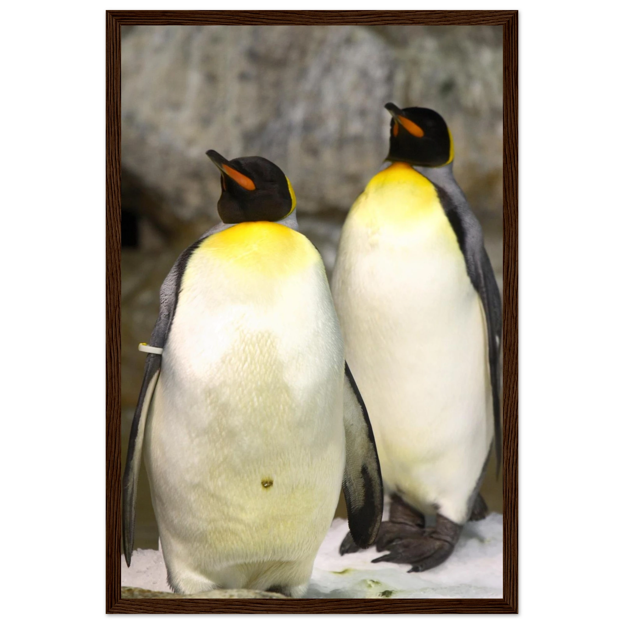 d3a84114-9525-460e-8f50-273f36dc6eeb