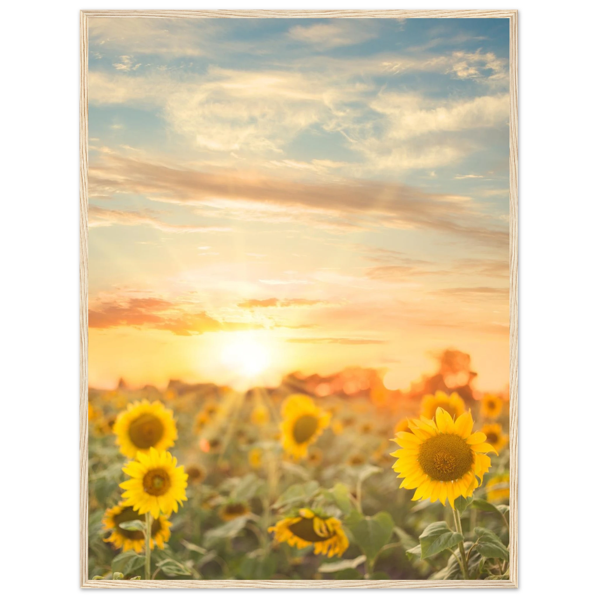 d3a91b49-7955-4102-a298-f23b33054a4a