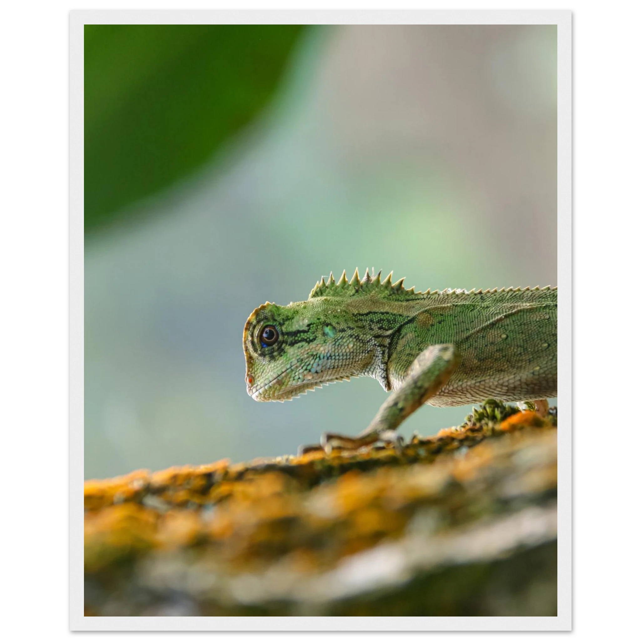 d3ce814f-7af1-418d-adf2-055e43ef40b3