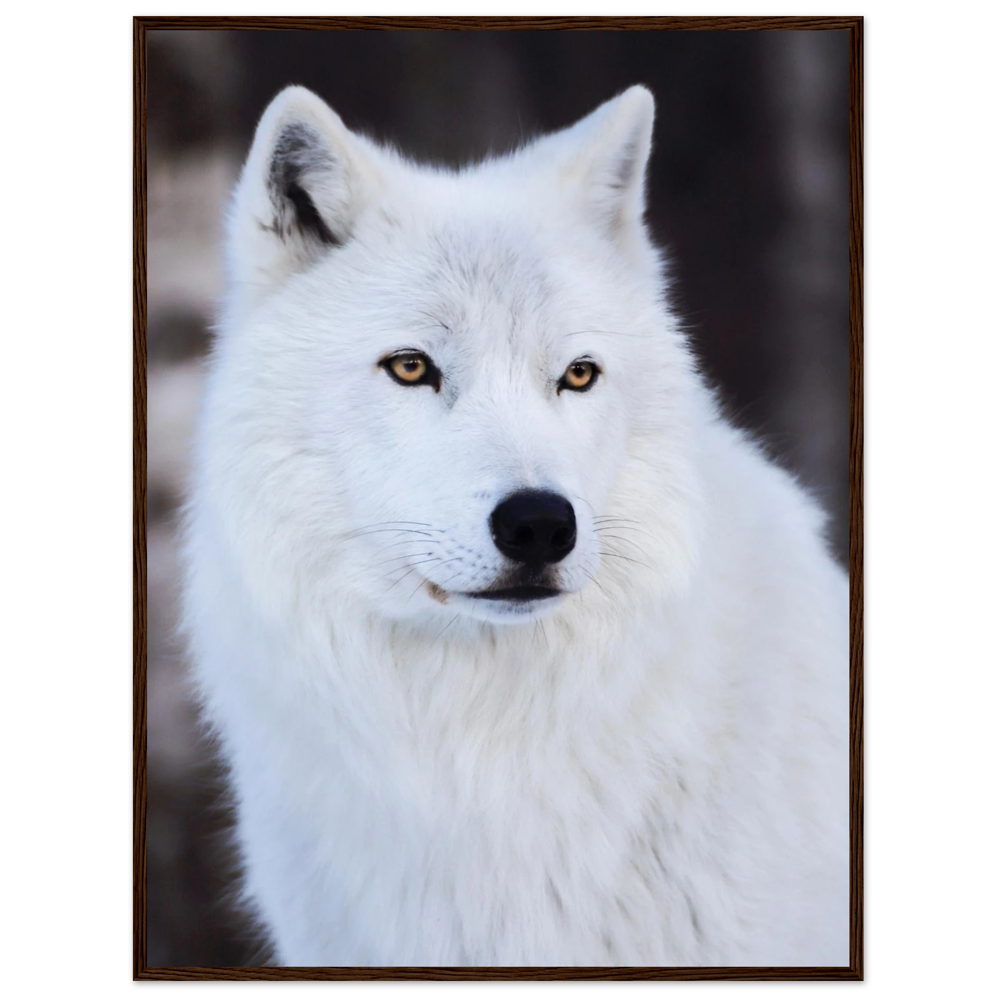 d3dc1f10-94f0-45ae-9699-59ee8a7bf7d6