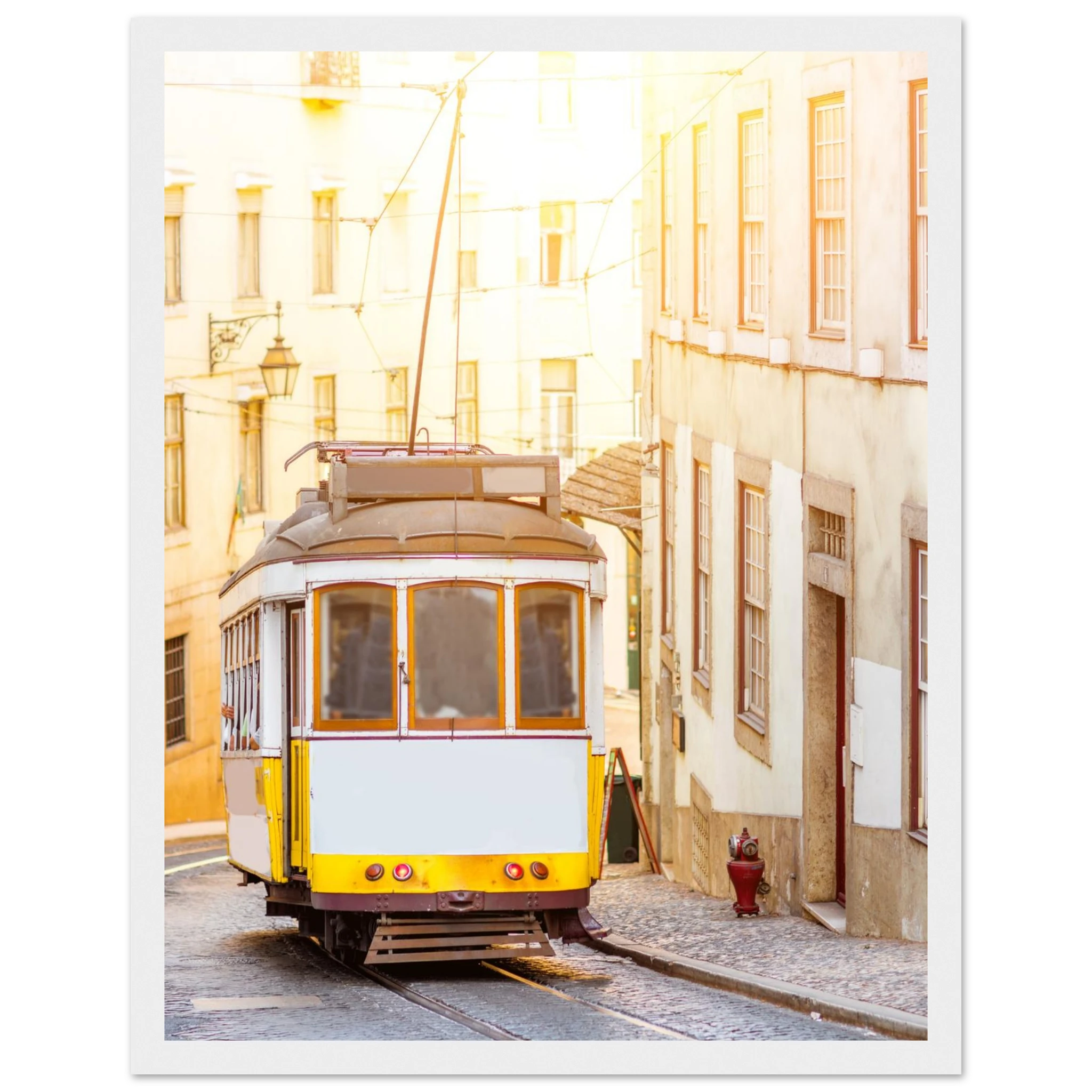 d403d5cf-d859-4794-8310-ad2d8170aab2