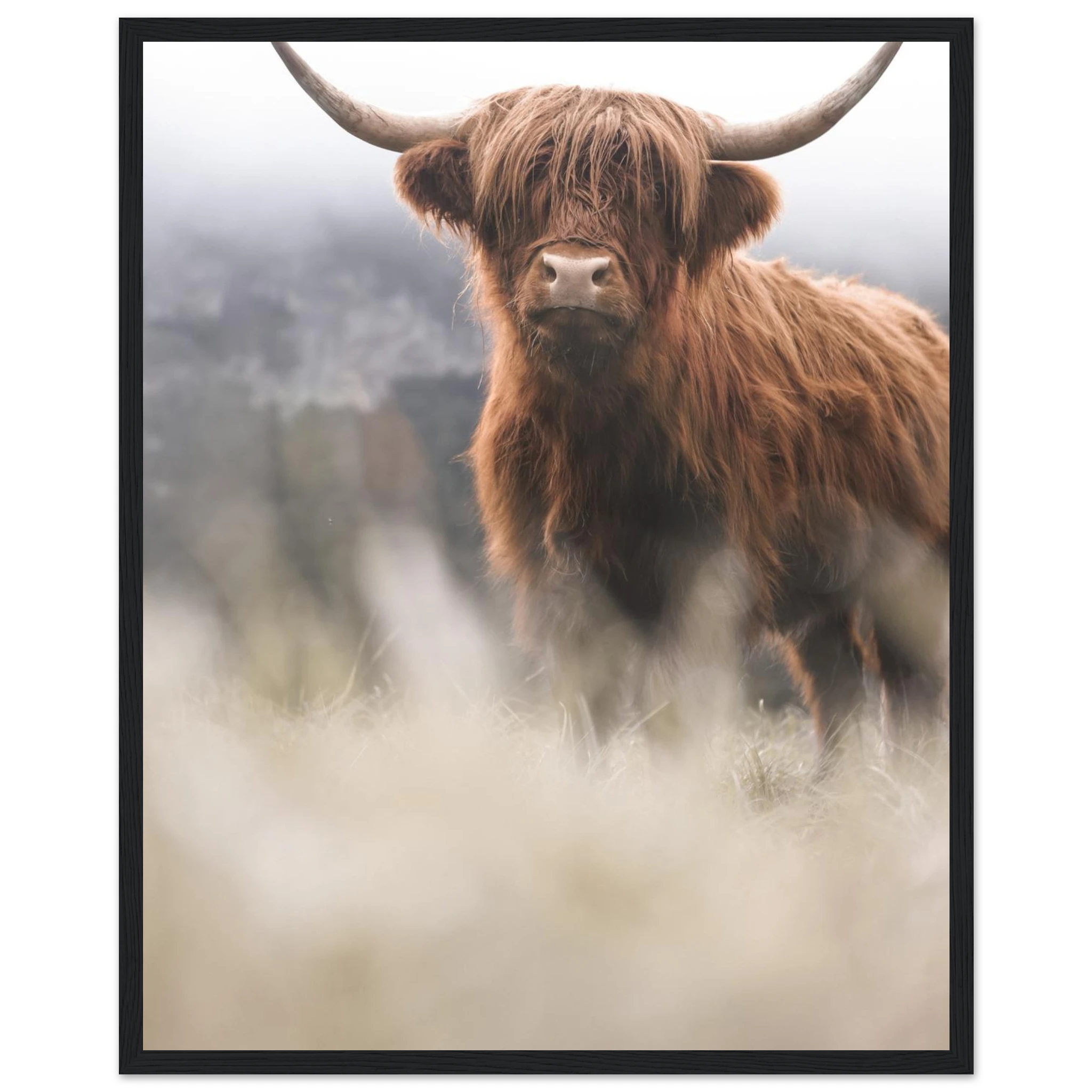 d41e5681-b616-411e-8050-af650b5ceef4