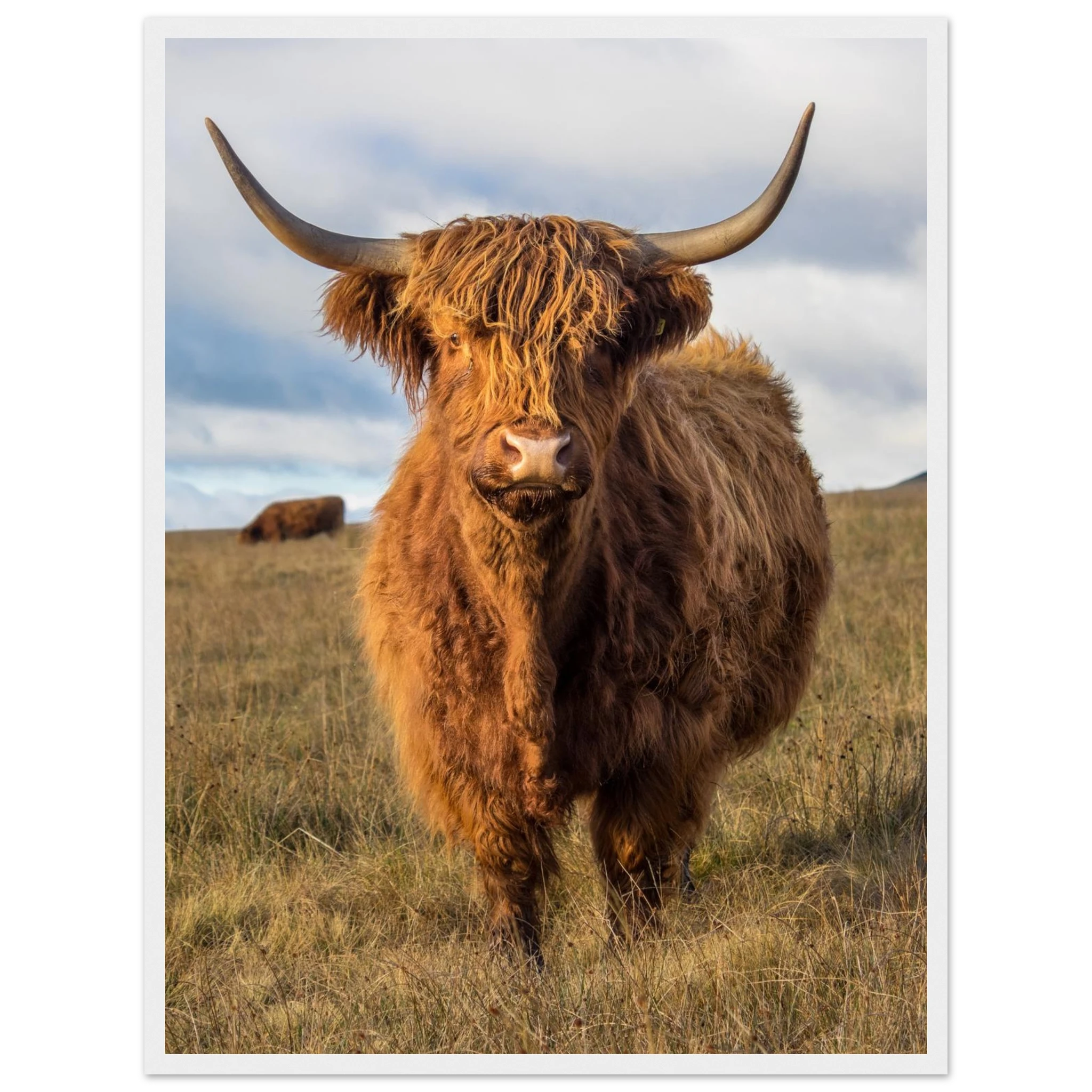 d41fbb0c-8062-4bdb-a9f6-b146c7a1f852