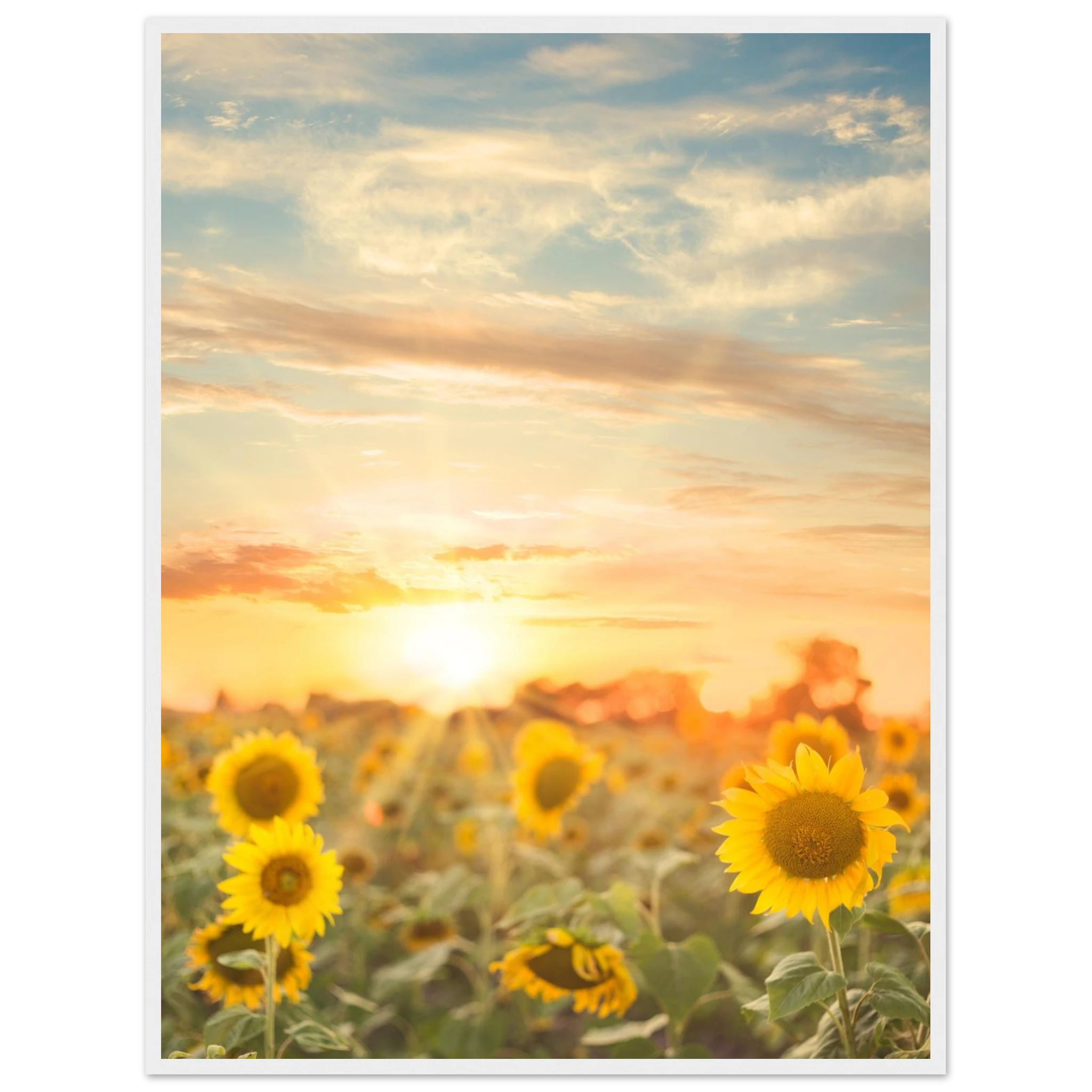 d42ea99c-dfce-4c01-84f0-0663923b1adc