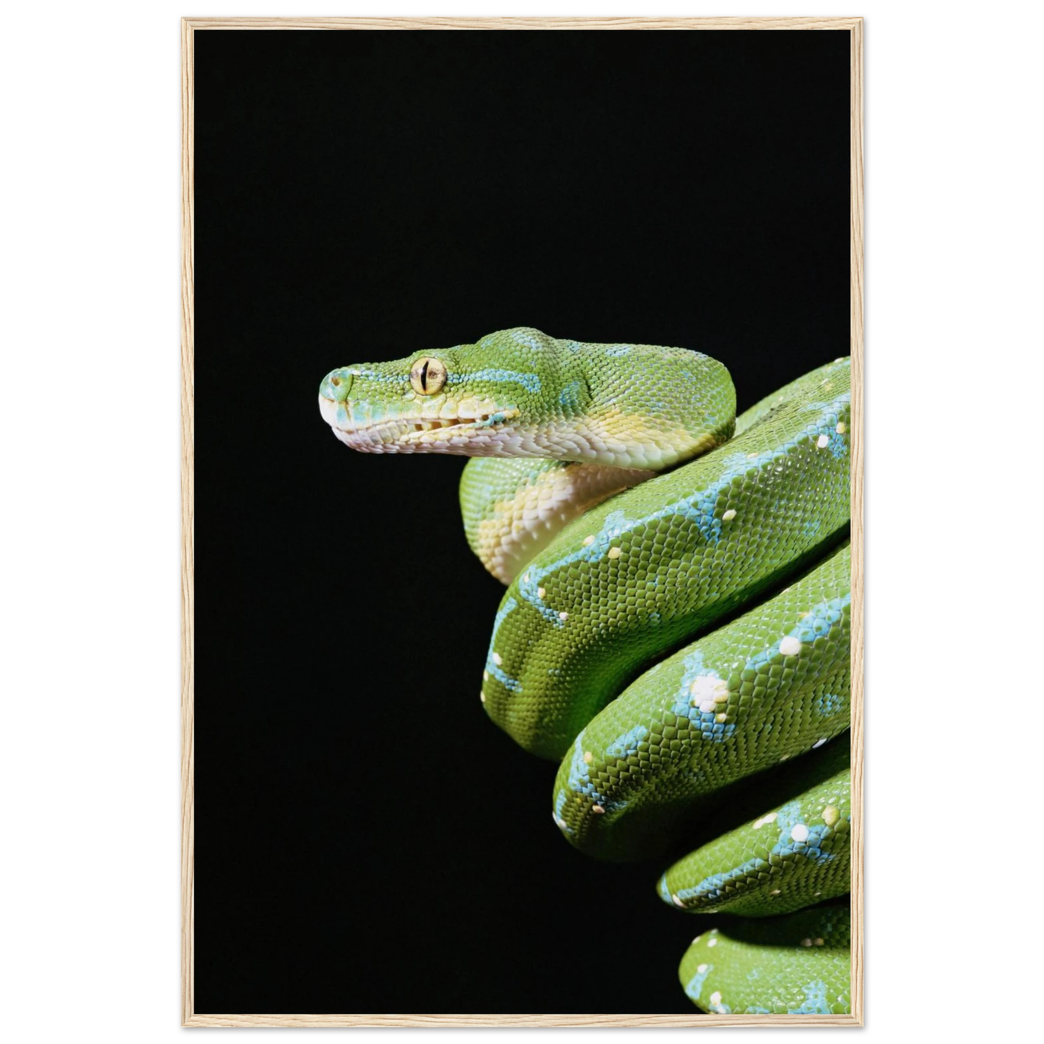 d46276f5-489c-4d2e-a441-7d85d4c3c557