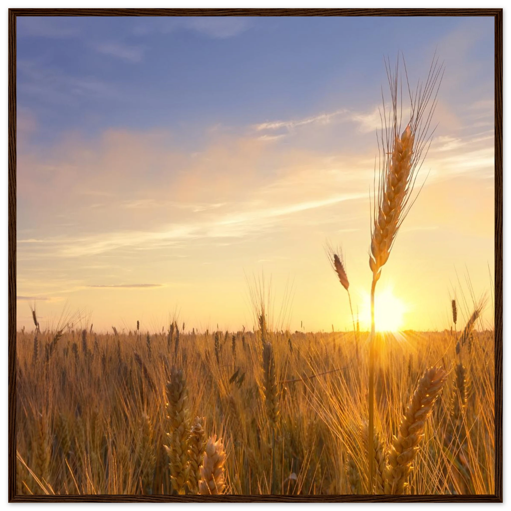 d472525a-7c08-4592-8f9c-64a9b9e6dda9