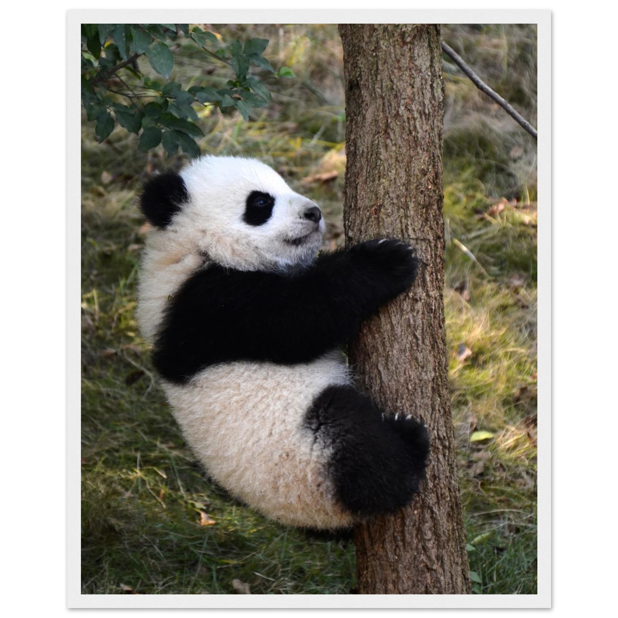 d4851fab-9736-4c76-8863-d2a1ec6773b5