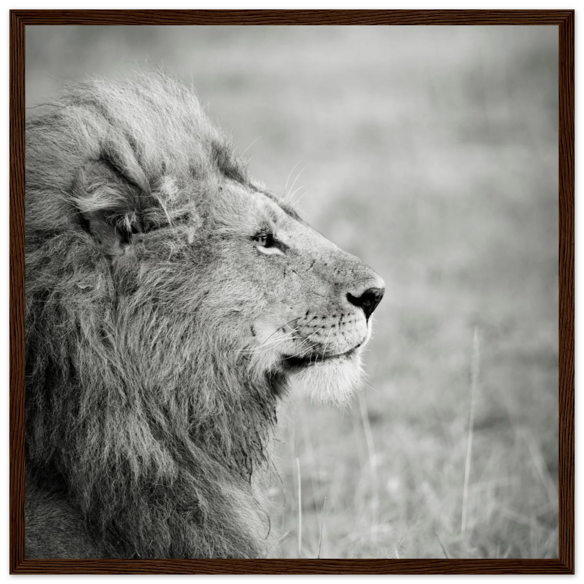 d4a3ff09-a404-438d-82cf-8e71d7c0115c