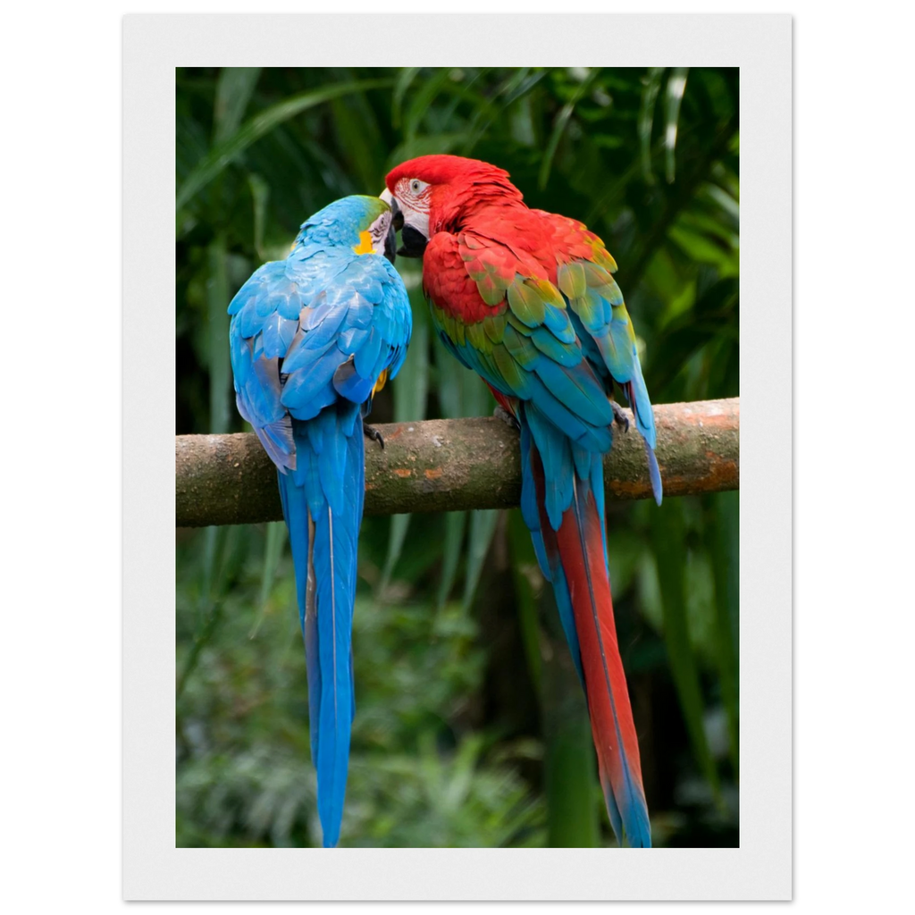 d4a7711a-e8f5-4f0c-960c-f83d485101f3