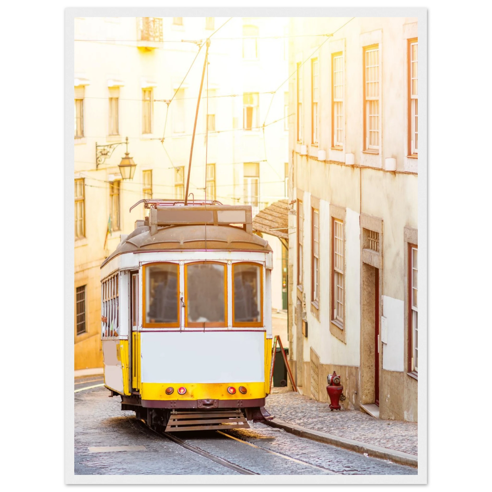 d4c1722c-4919-4f0c-864d-4681a06b54bd