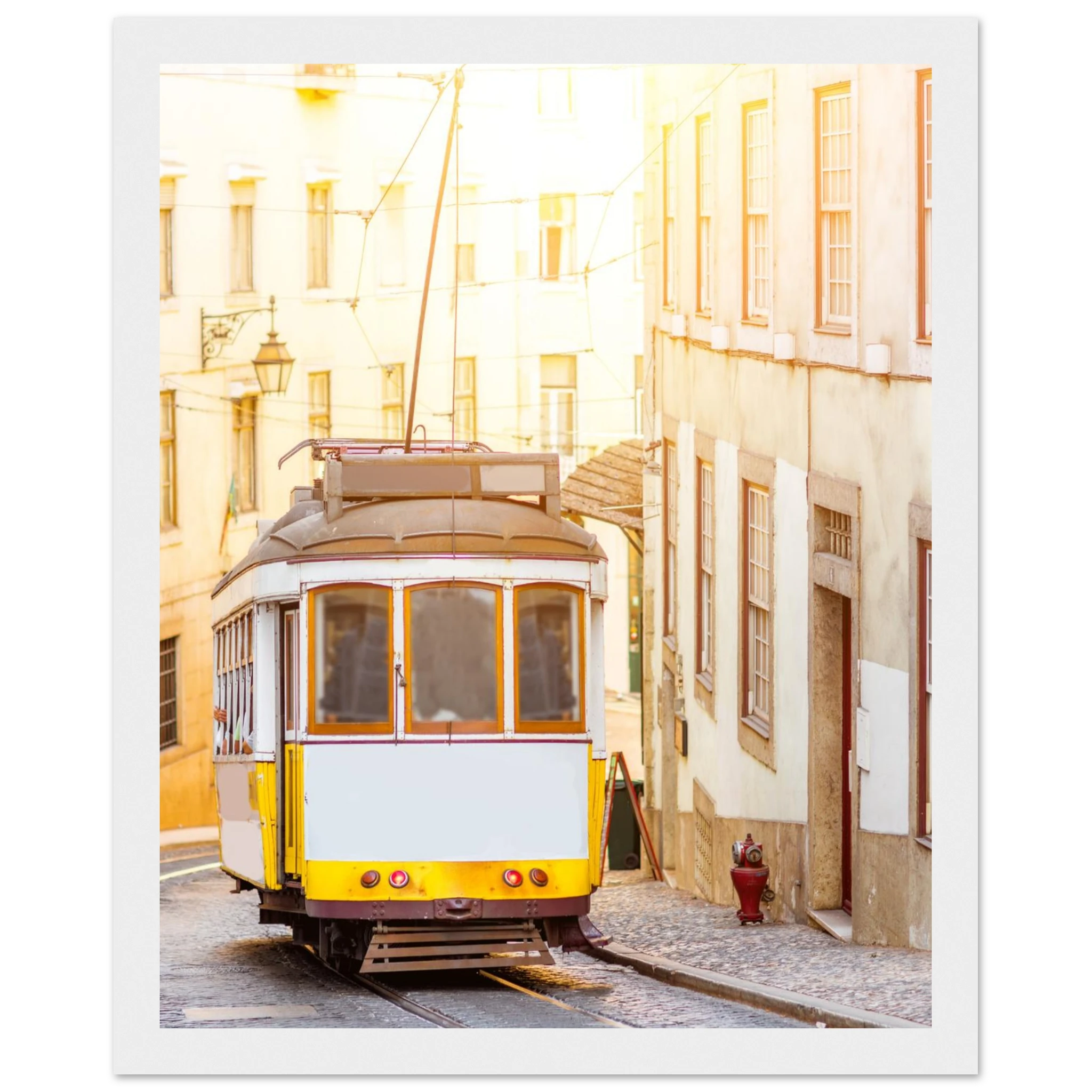 d4d23e9f-ab07-4b37-bd92-83add5b520f3