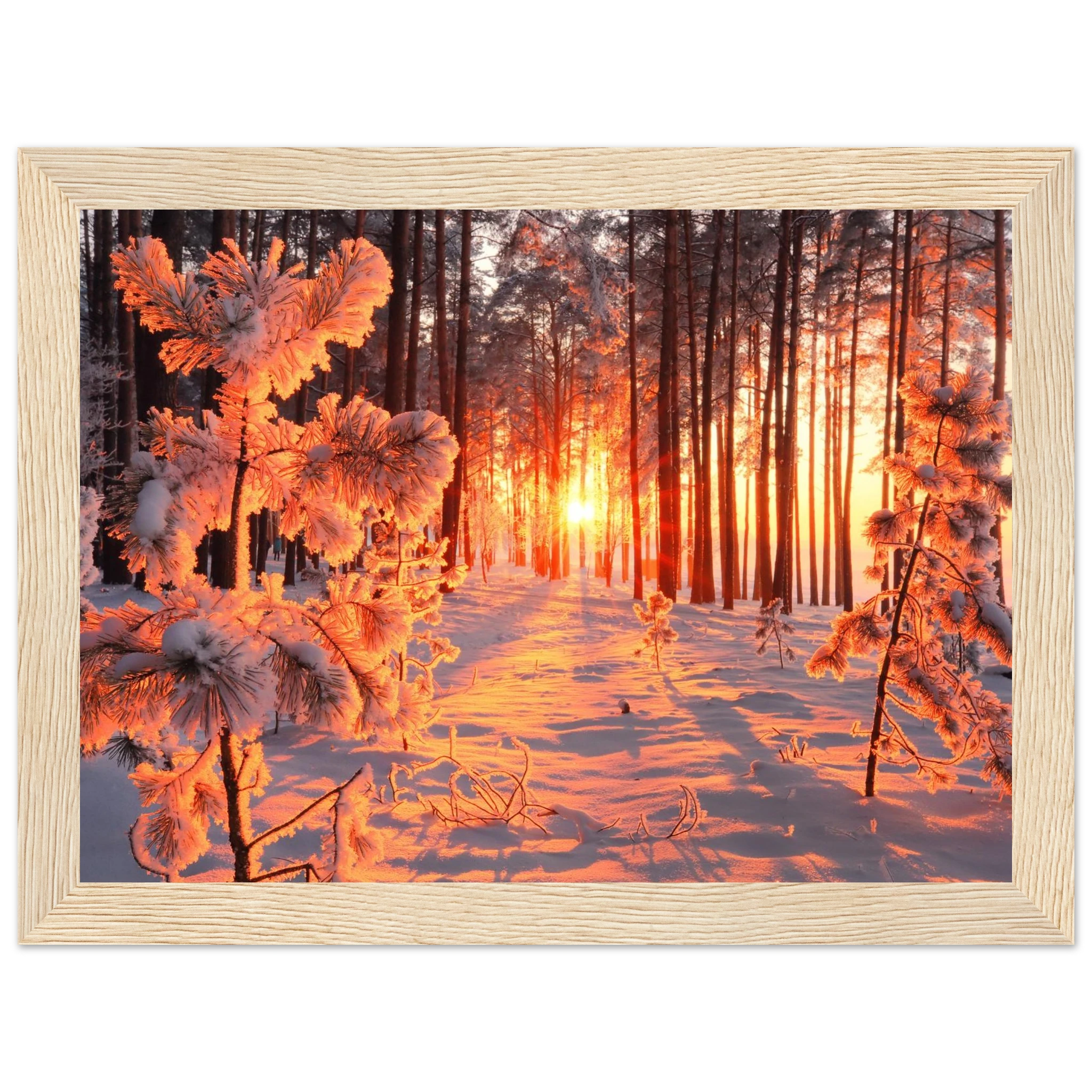 d4e2c863-39fa-4d42-b9a6-3b1ca87c20b3