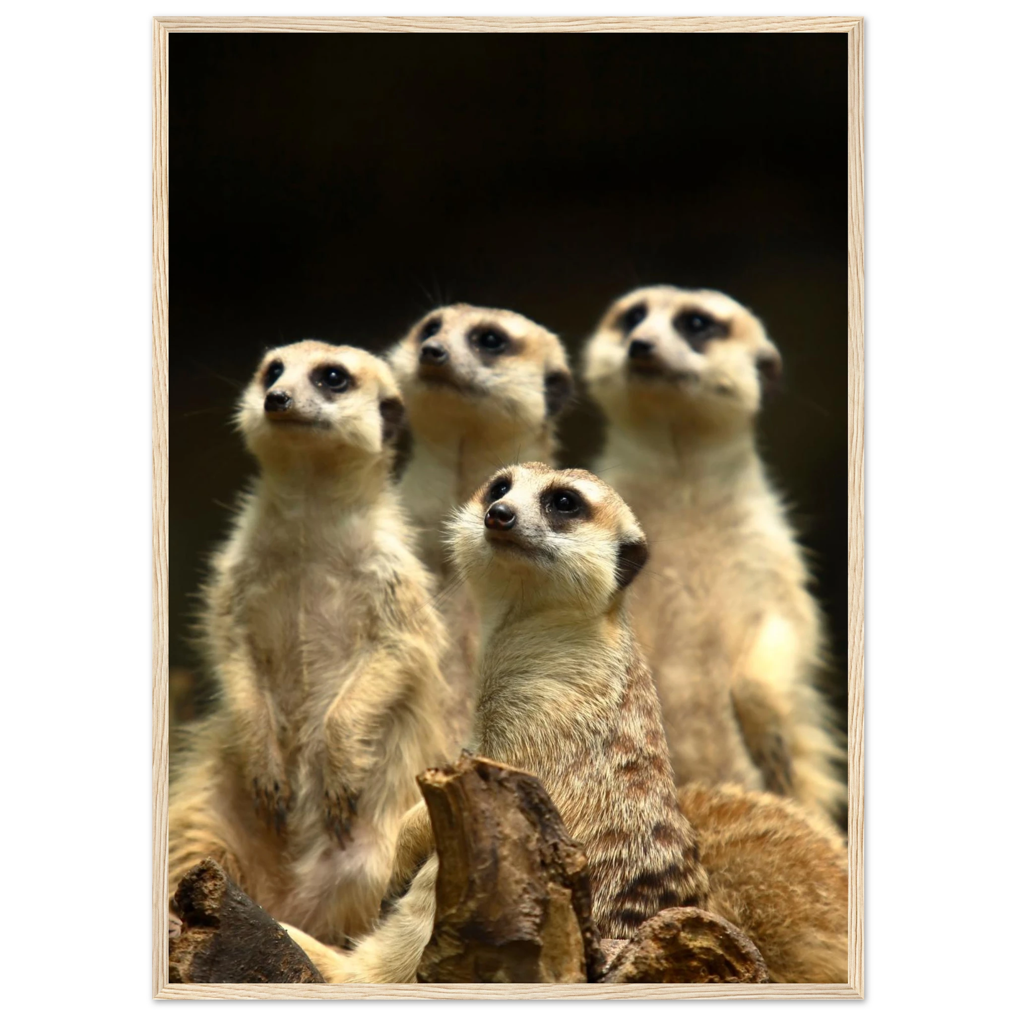 d4ecaab4-a3fe-4929-97a5-01e847cc9ba2