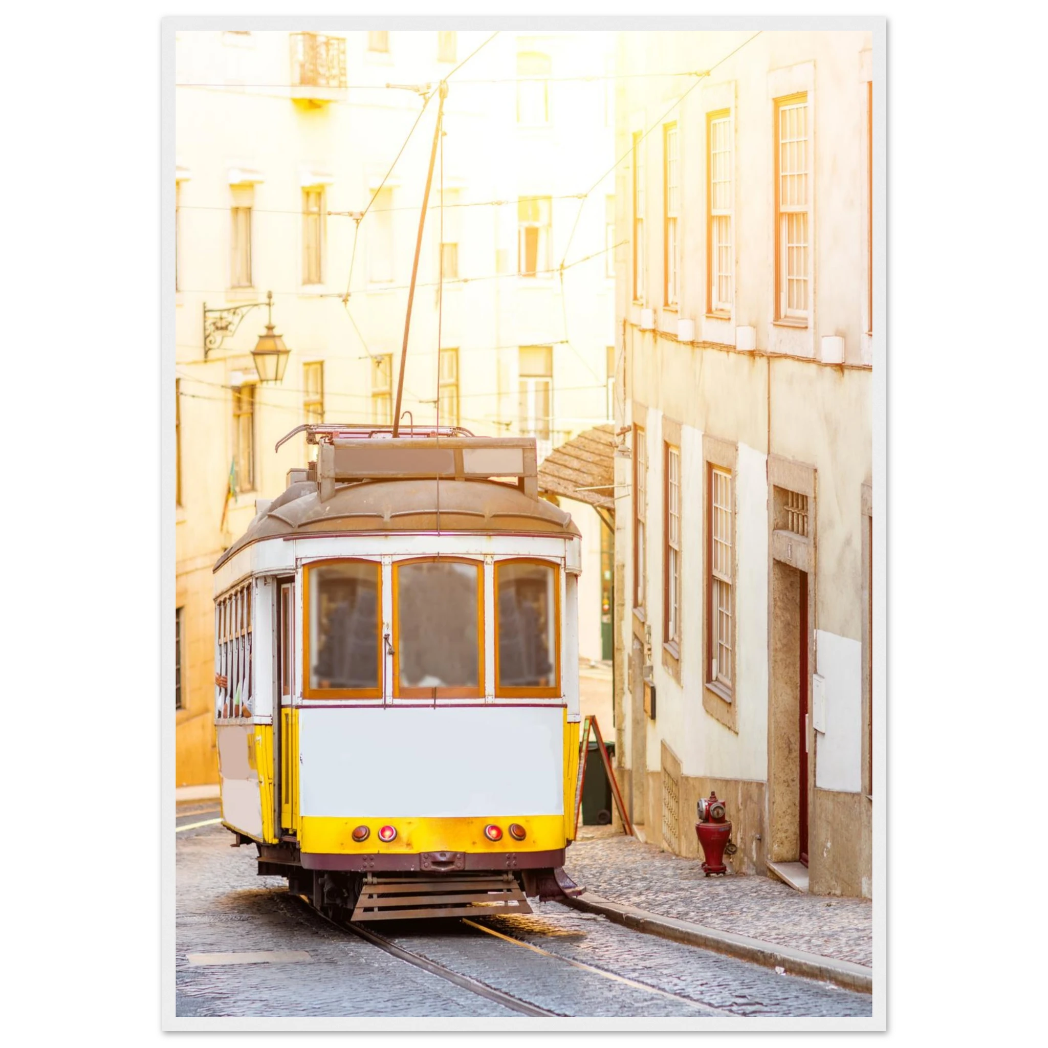 d4f0ca85-1fc9-4587-b0ea-f937ba5e29a1