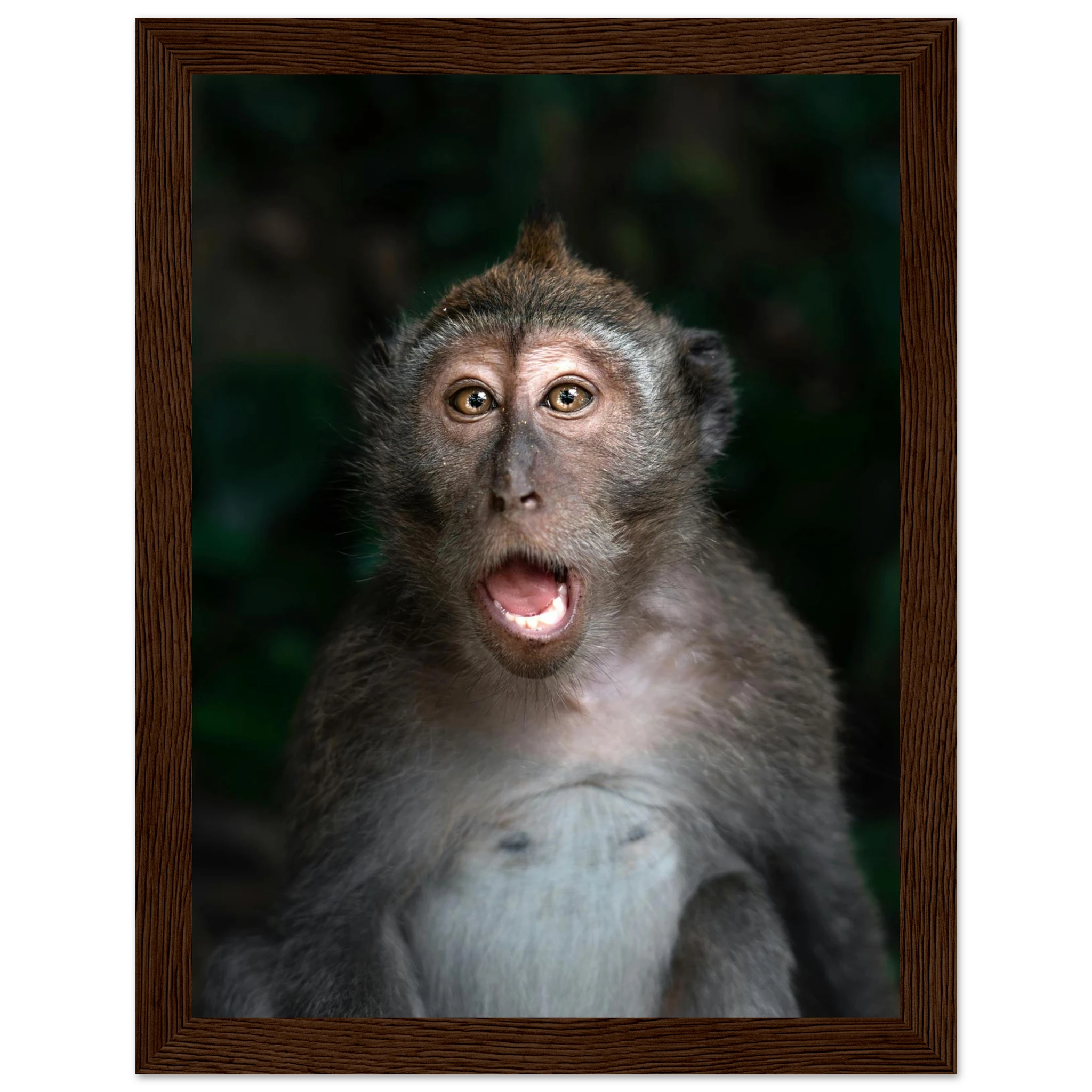 d4fe25a4-0ac5-4f6b-a521-d1d42cdf6232