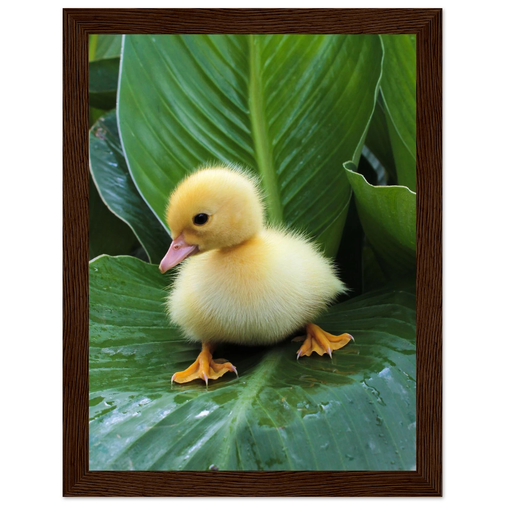 d50f5c8e-998c-49ce-af86-0b1172952e2a