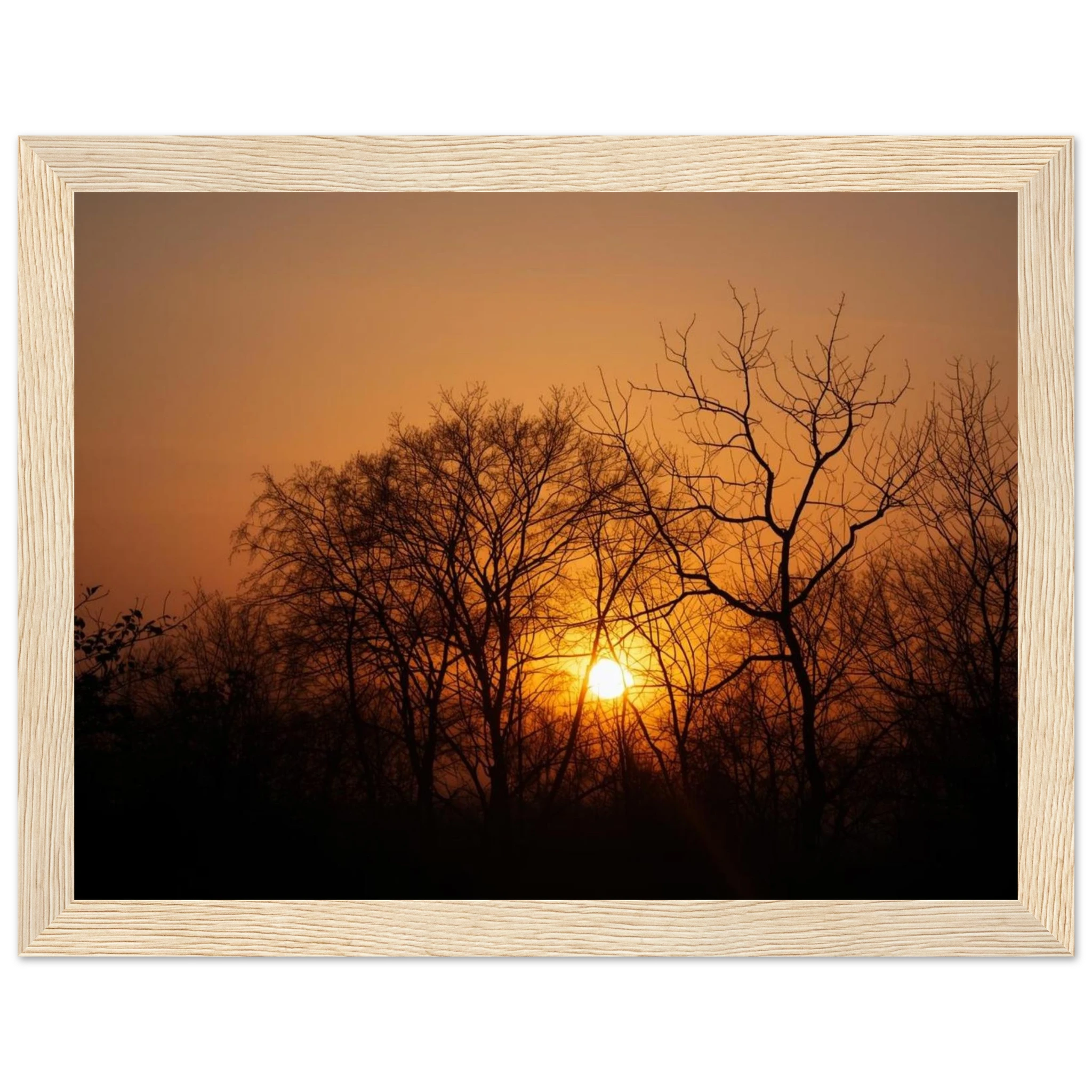 d526a97e-b75d-4d6c-b913-006e33455c36