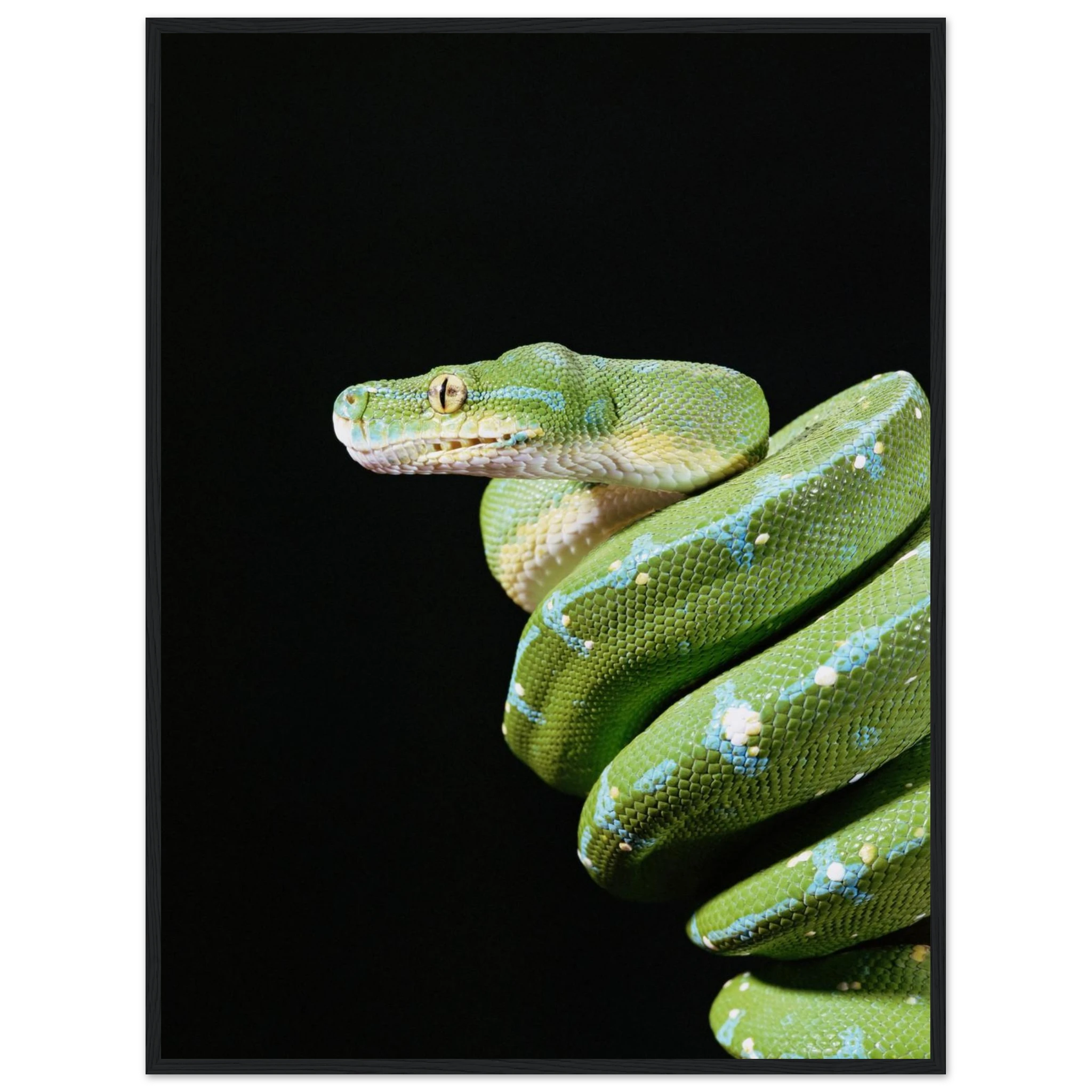 d536cb23-8055-4df4-8c8e-f44e4fc2714f