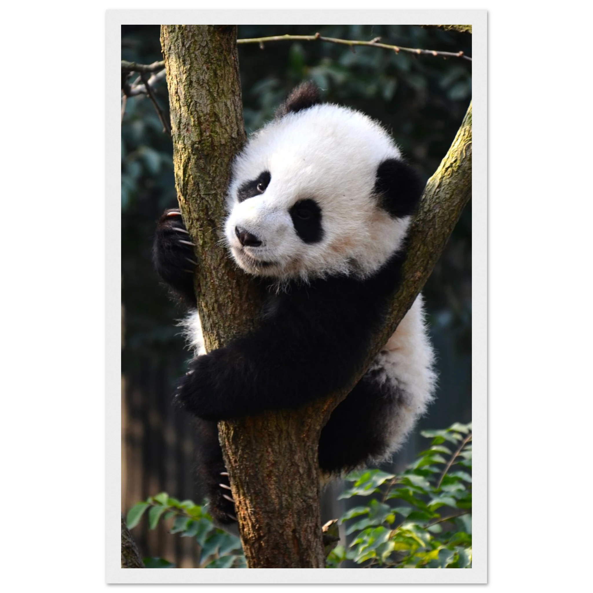 d53a2c07-b331-4be4-aff9-4fb7aec8738a