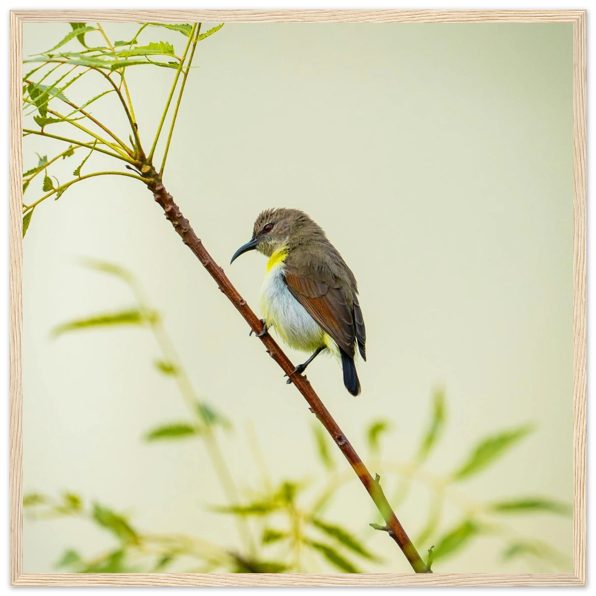 d548dcaa-3384-4eb5-928a-4d92e33a8ac7