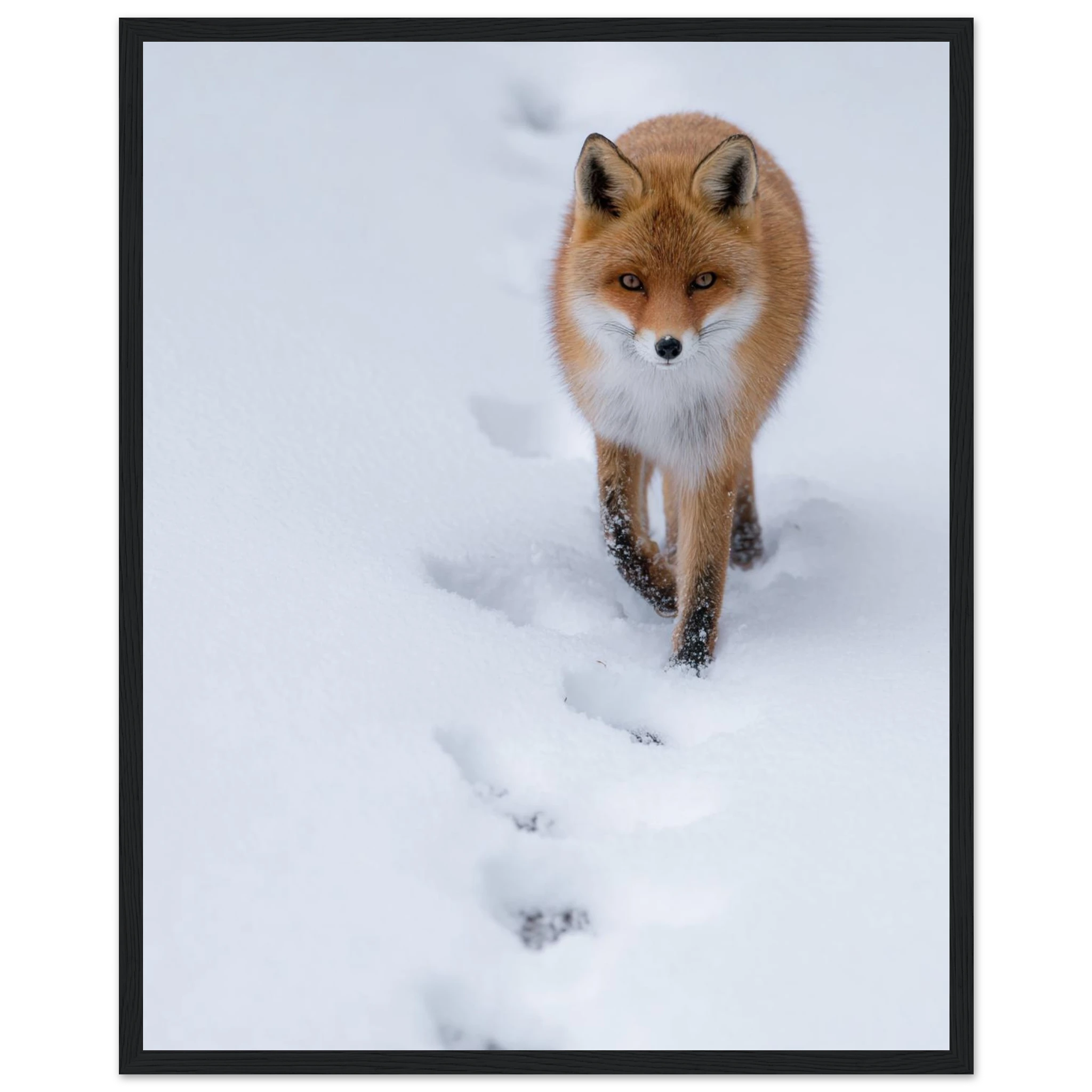 d555da6a-8d7c-47e1-9b24-1734893b2127