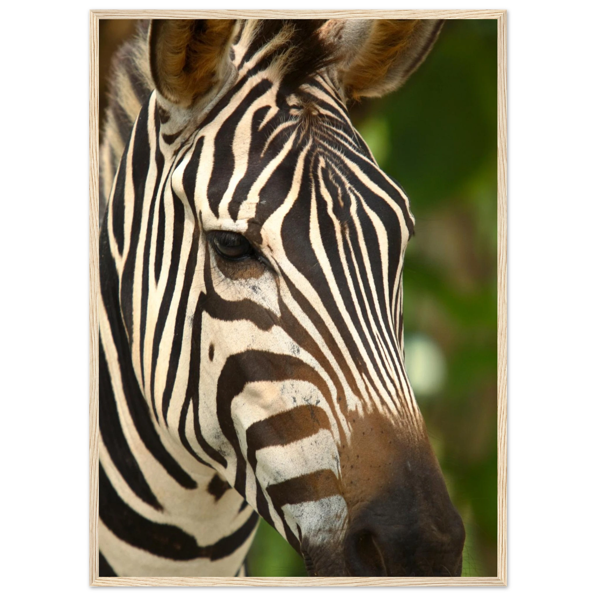 d56d1d42-1975-4978-84a4-3ee31f6c3f4d