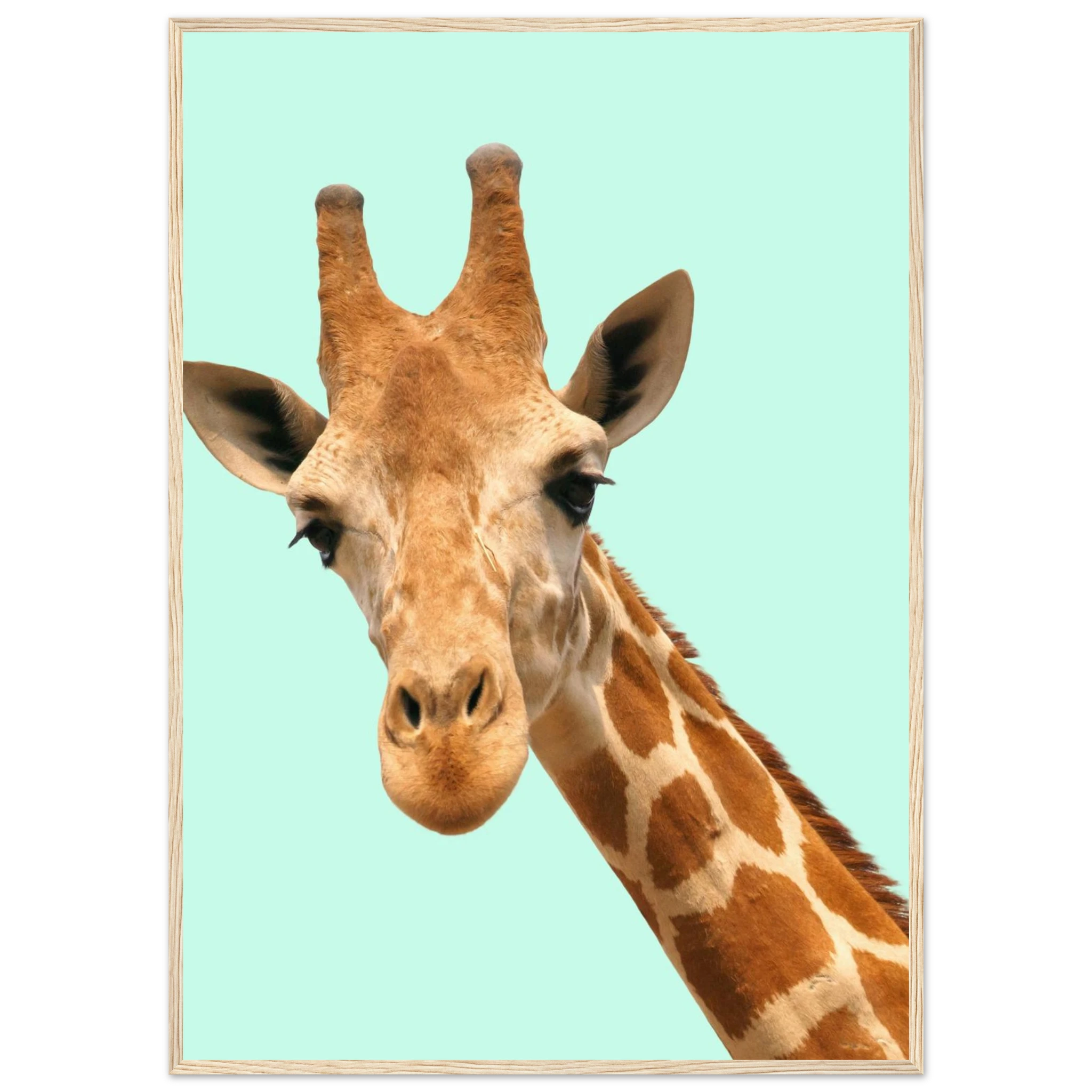 d5762422-4266-40b9-b716-fa1b41eea9a6