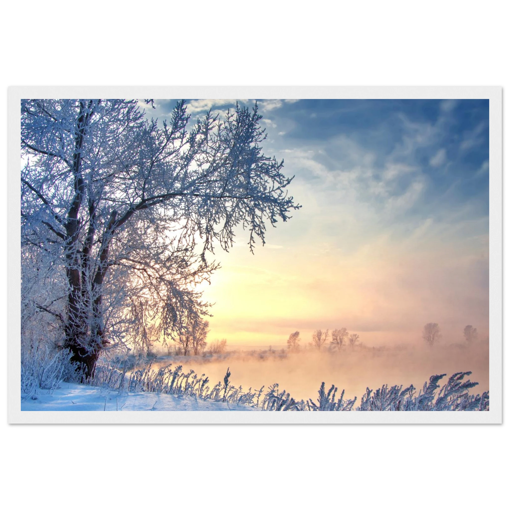 d5876b33-6a72-4aa5-ae29-2c3542c2e6ae