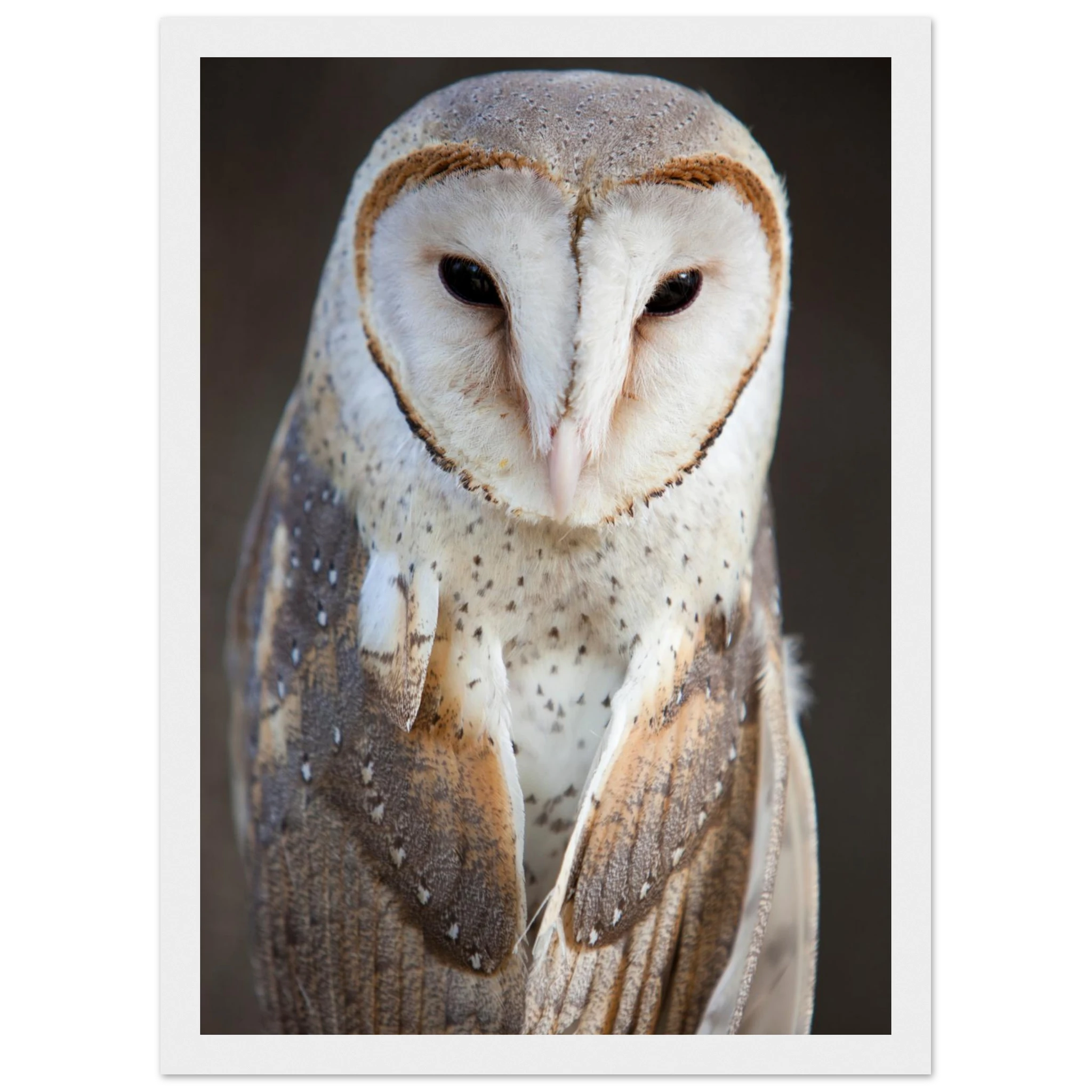 d594eaf2-5fa2-4fa3-8037-e283389d5c7c