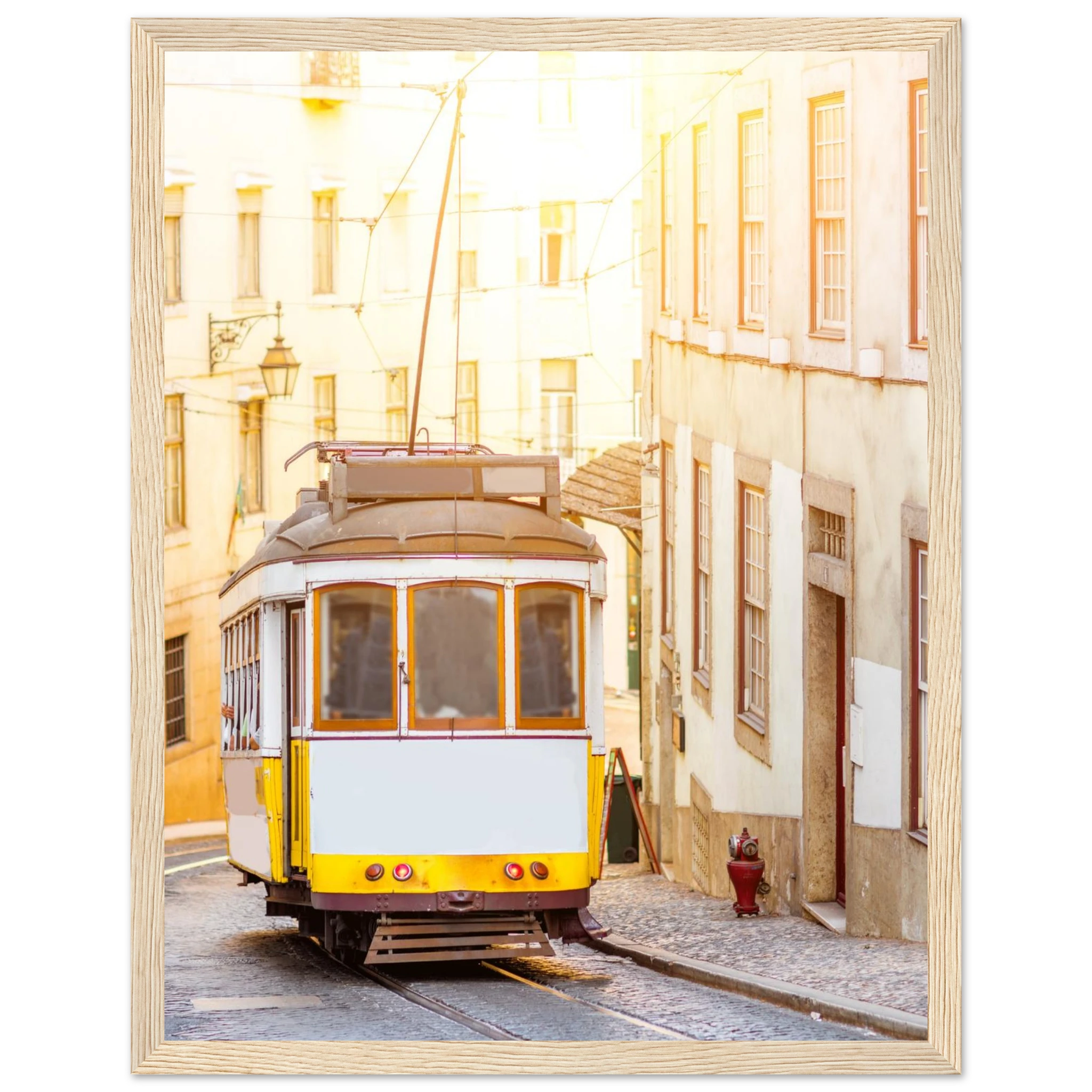 d5a88af7-1db2-454d-b533-ac7d51dd9991