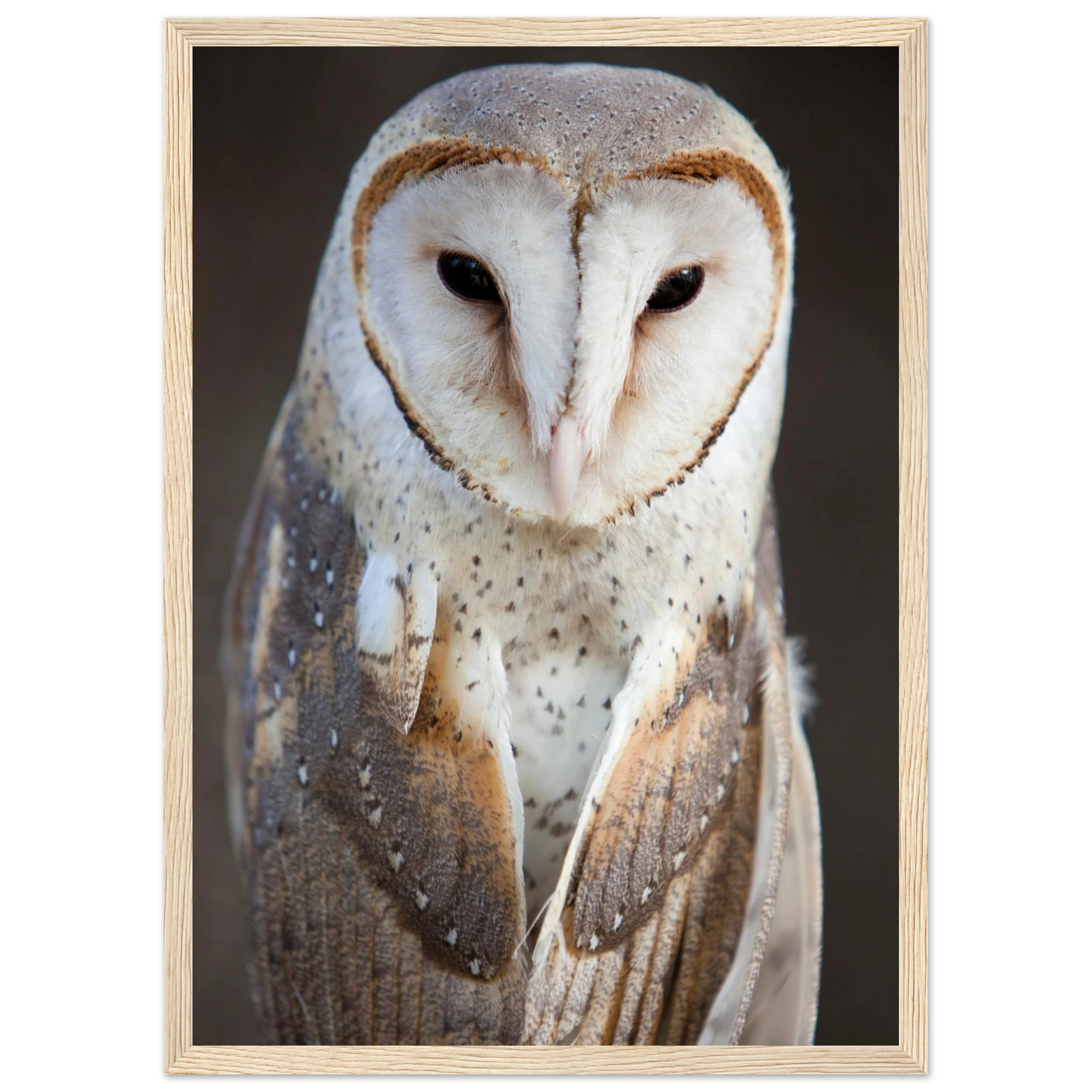 d5bfb98c-f894-455a-b570-81529b67b5d2