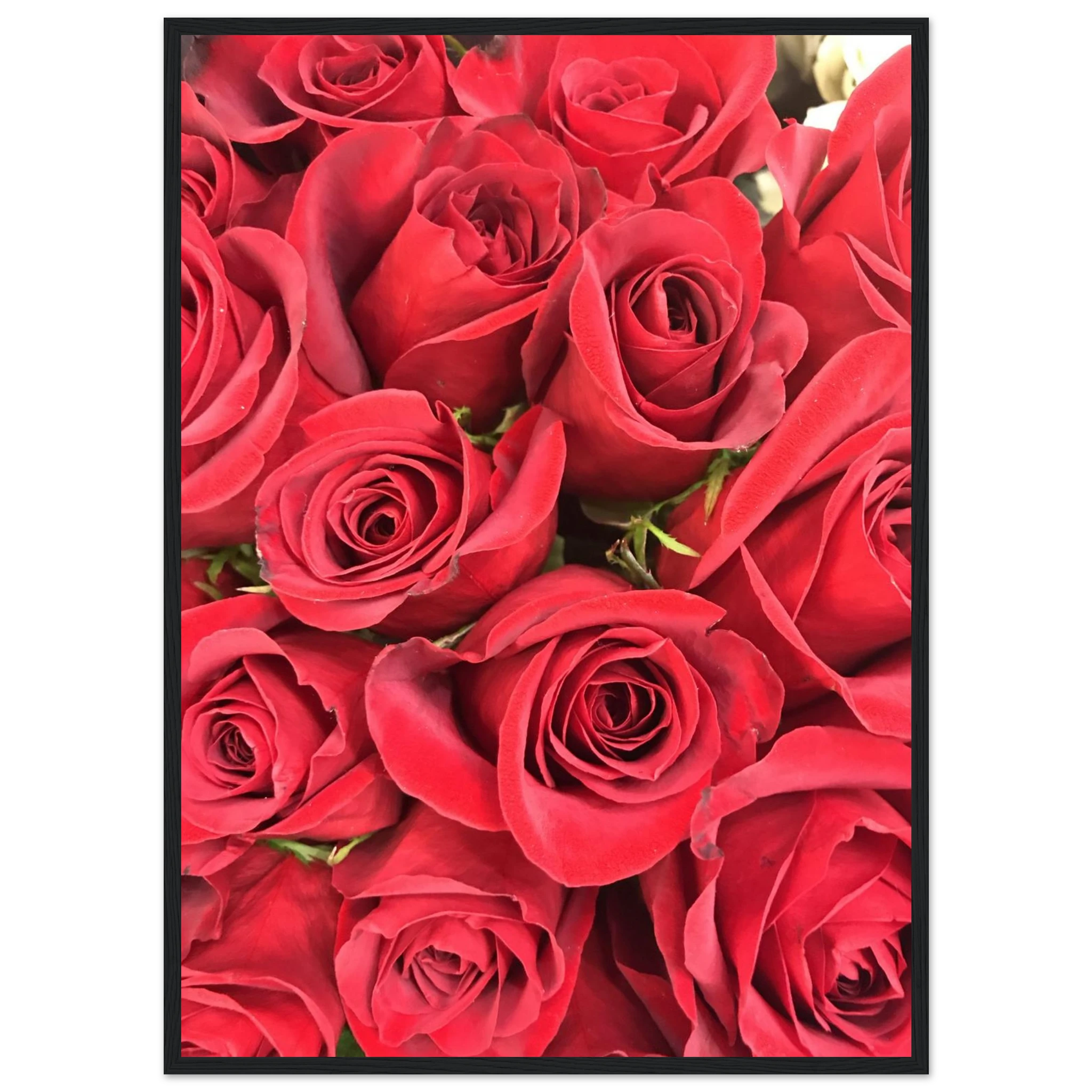 d5c5ca0f-29e8-4f28-8351-f8d46bff2f13