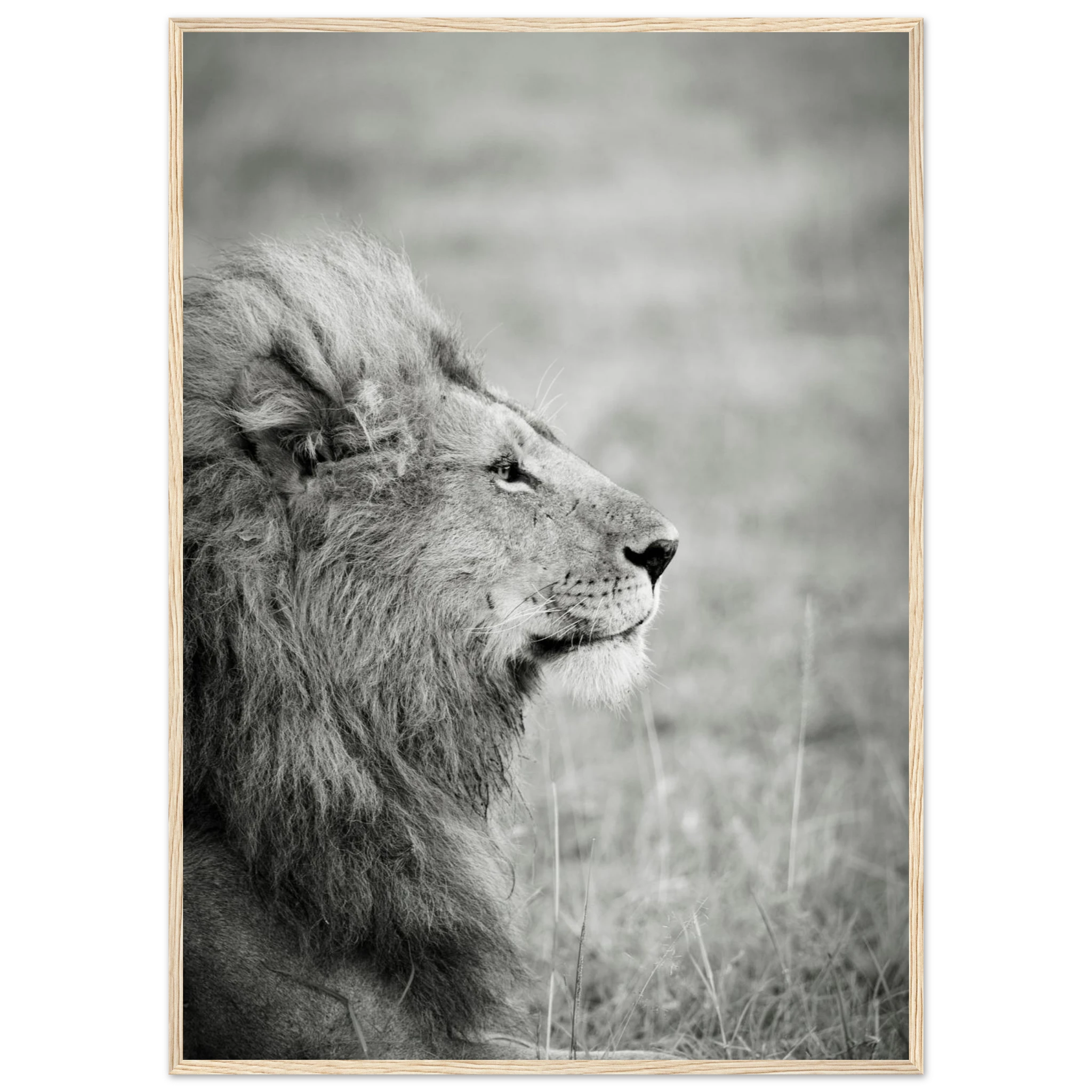 d5c9a29d-546c-41dc-801a-399fc76cc0ef