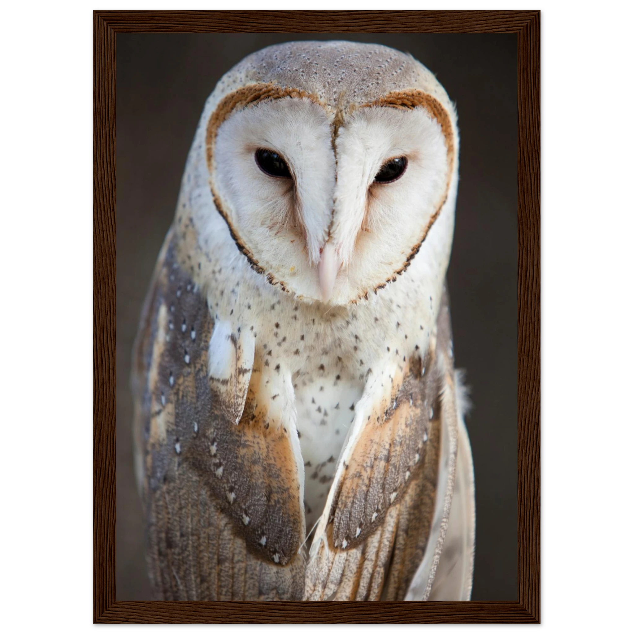 d5e9c786-f015-41cf-b7d9-c501af78c672