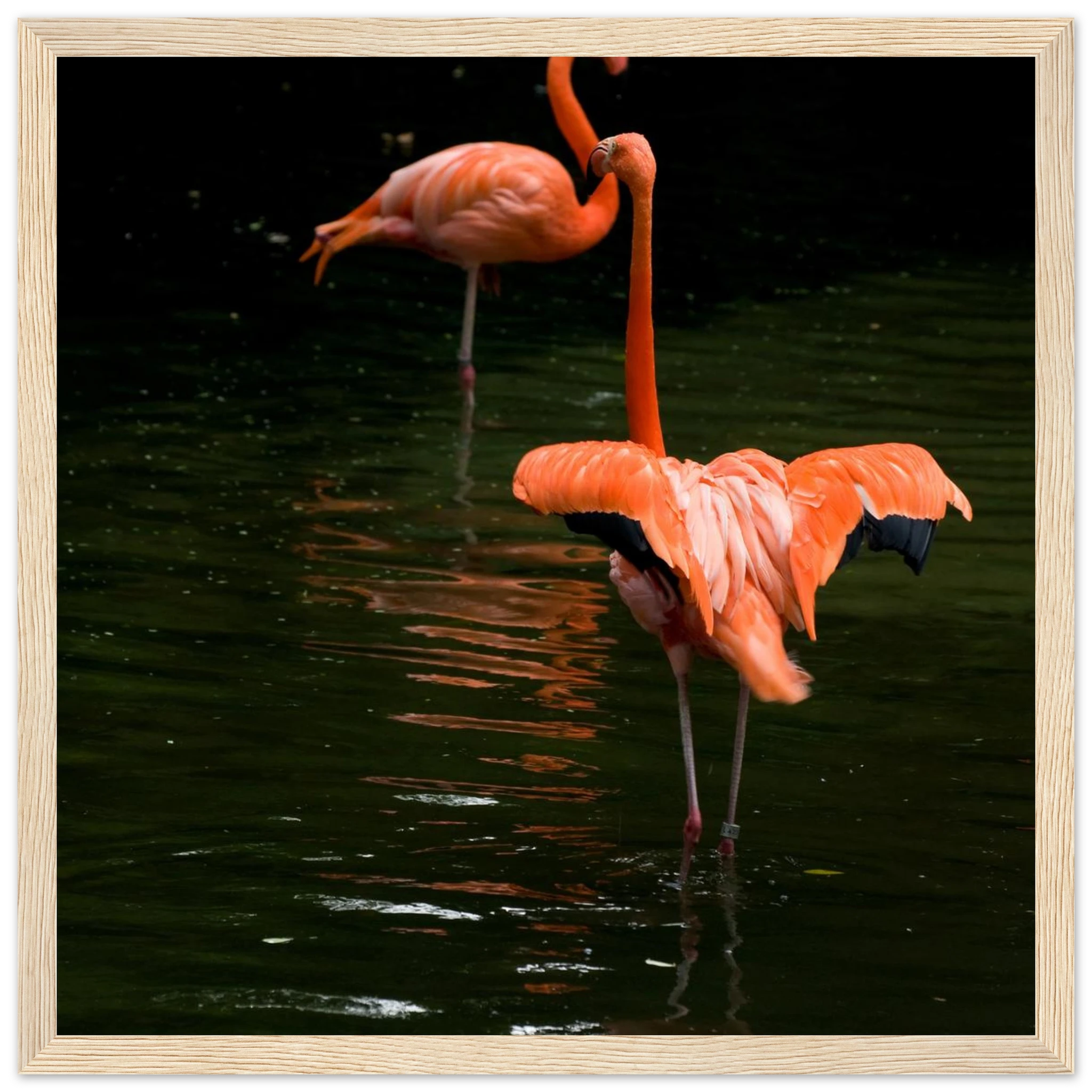 d5ef2c21-0f66-47e6-8718-85706652ccb0