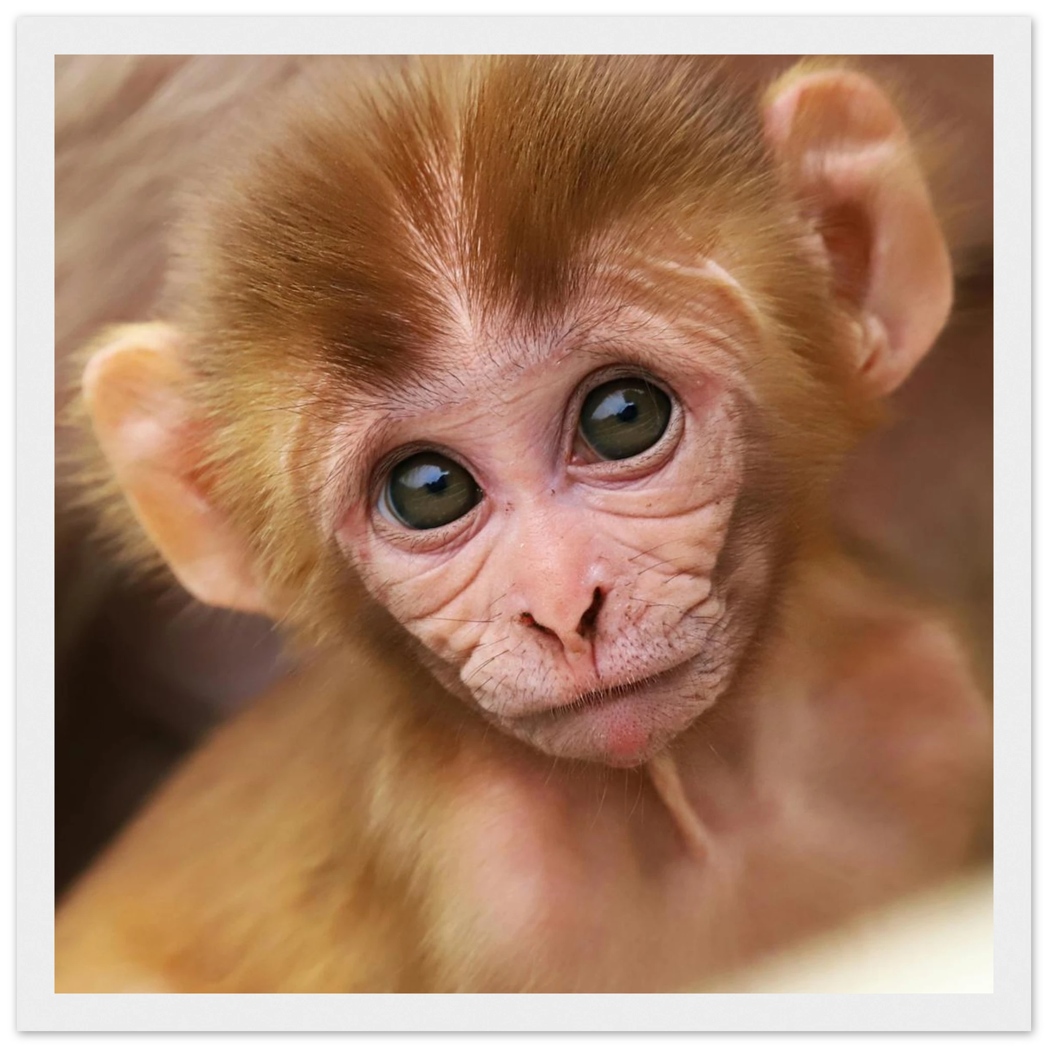 d5fb6e51-1124-40cf-82b4-2de836c05a9a