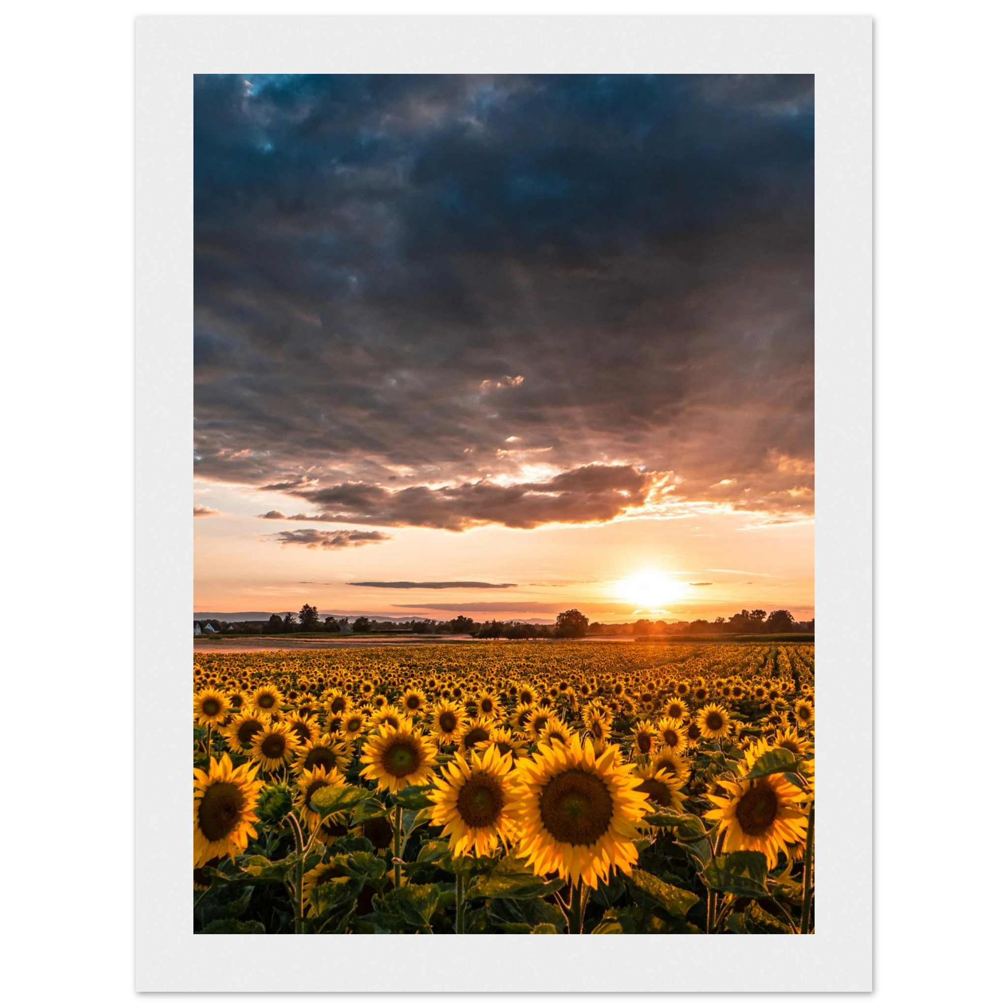 d5ffc4dc-e295-4def-81da-79891b7ee8b0