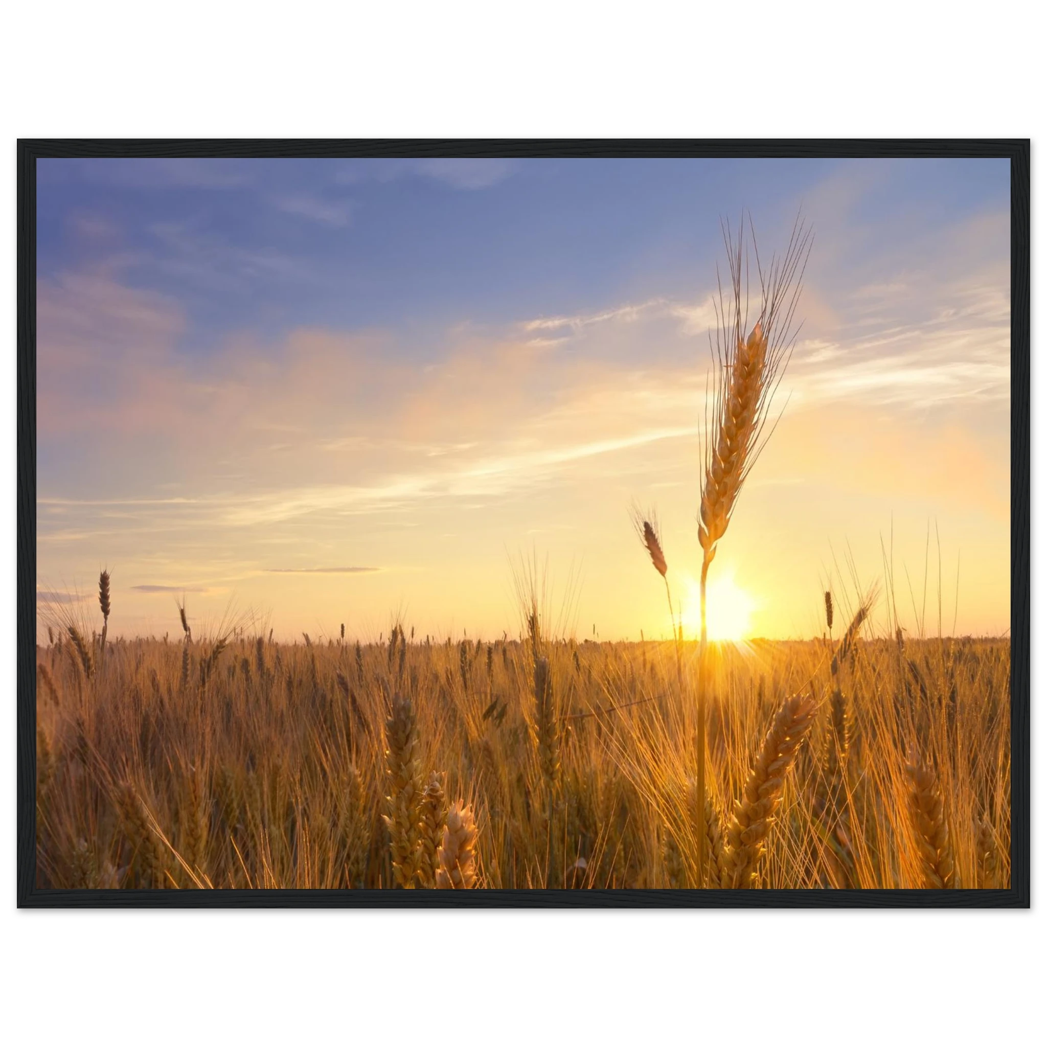 d6225453-f5df-4494-b229-e2579706e8be