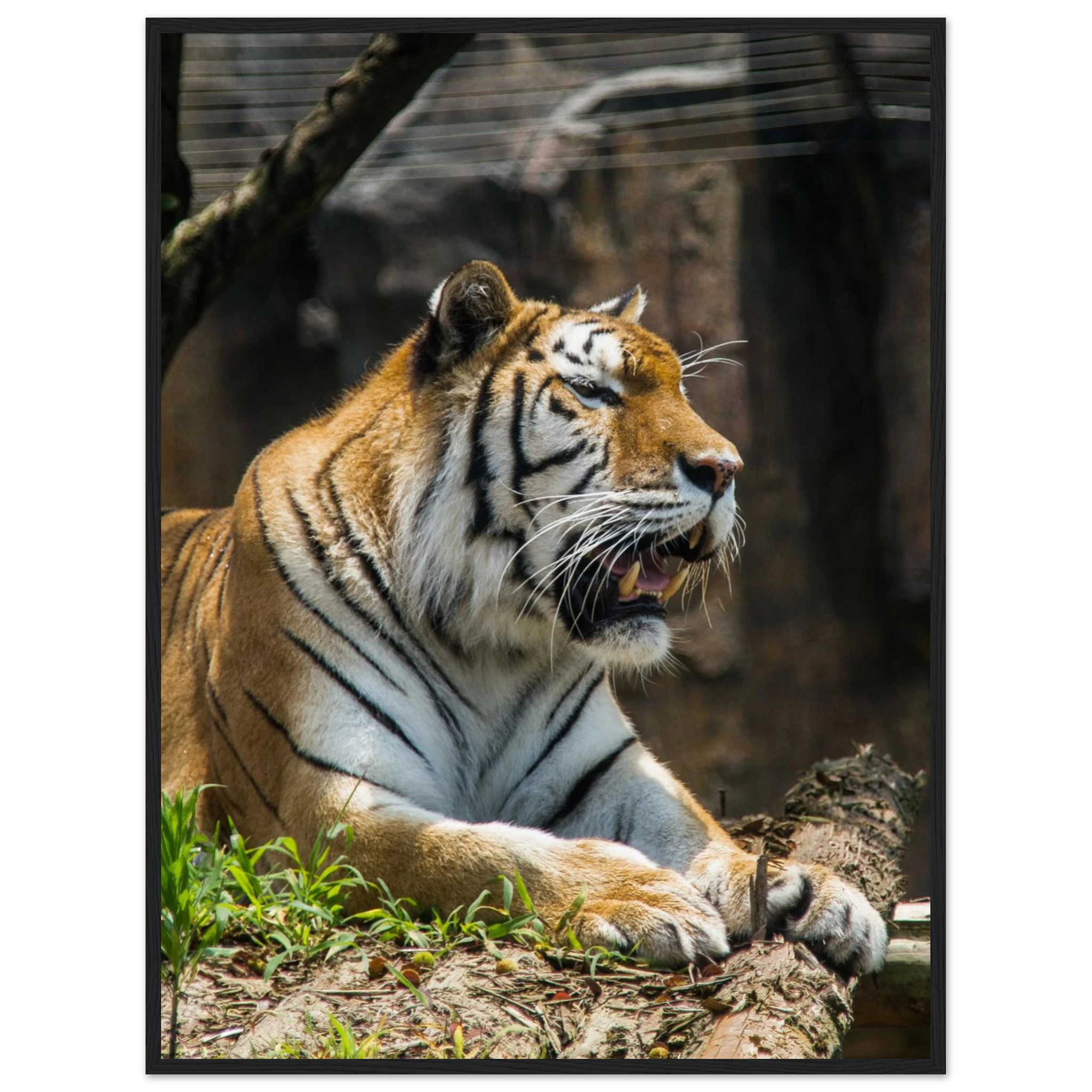 d6886905-1ecd-4c7d-b296-9315fae250dc