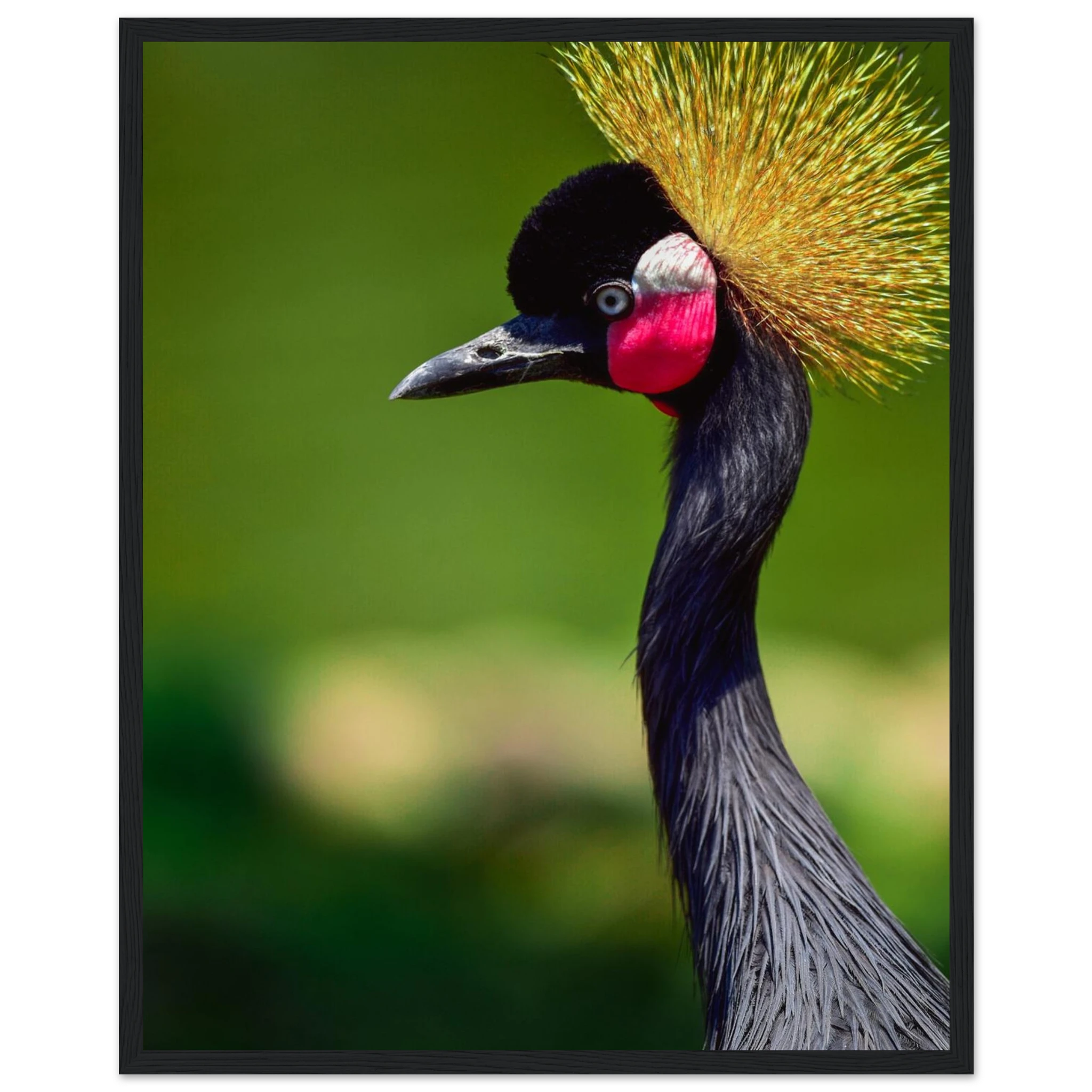 d689ac59-1e12-492c-aecb-719cd20fddd8