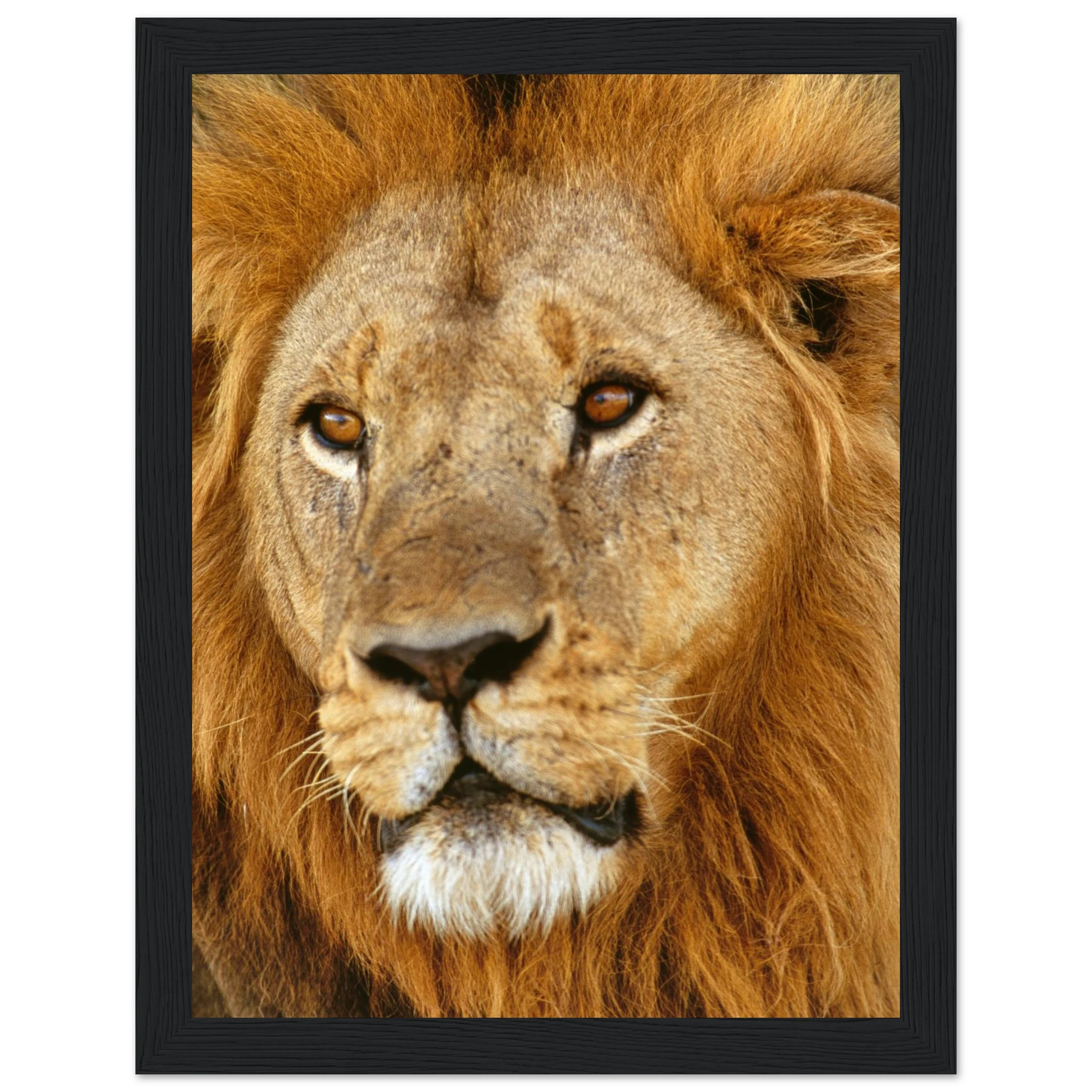 d68a8c0a-f348-47a7-8610-6c4aad88dd34