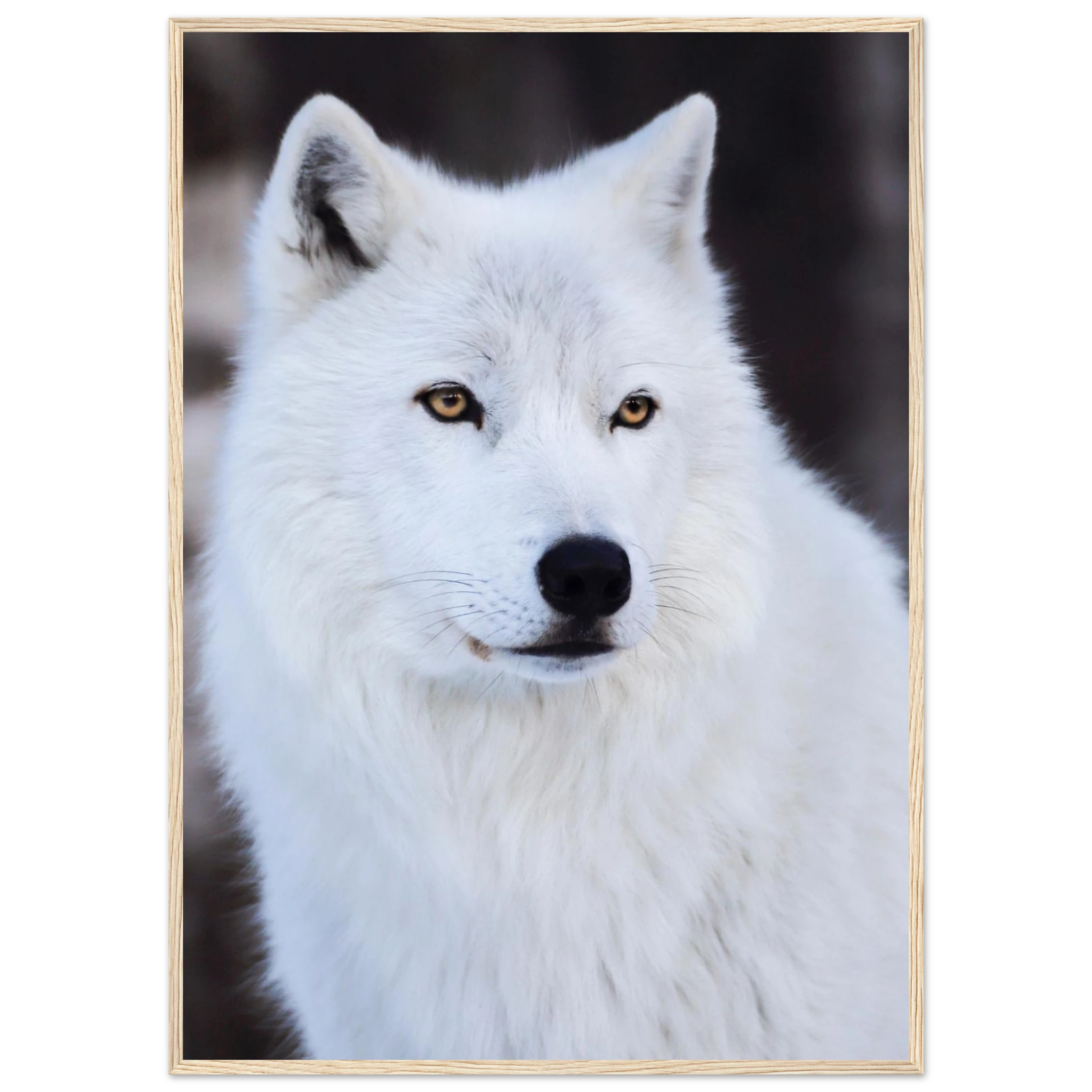 d6c6ff62-ba71-4e59-8b37-e4c3dd3c1015