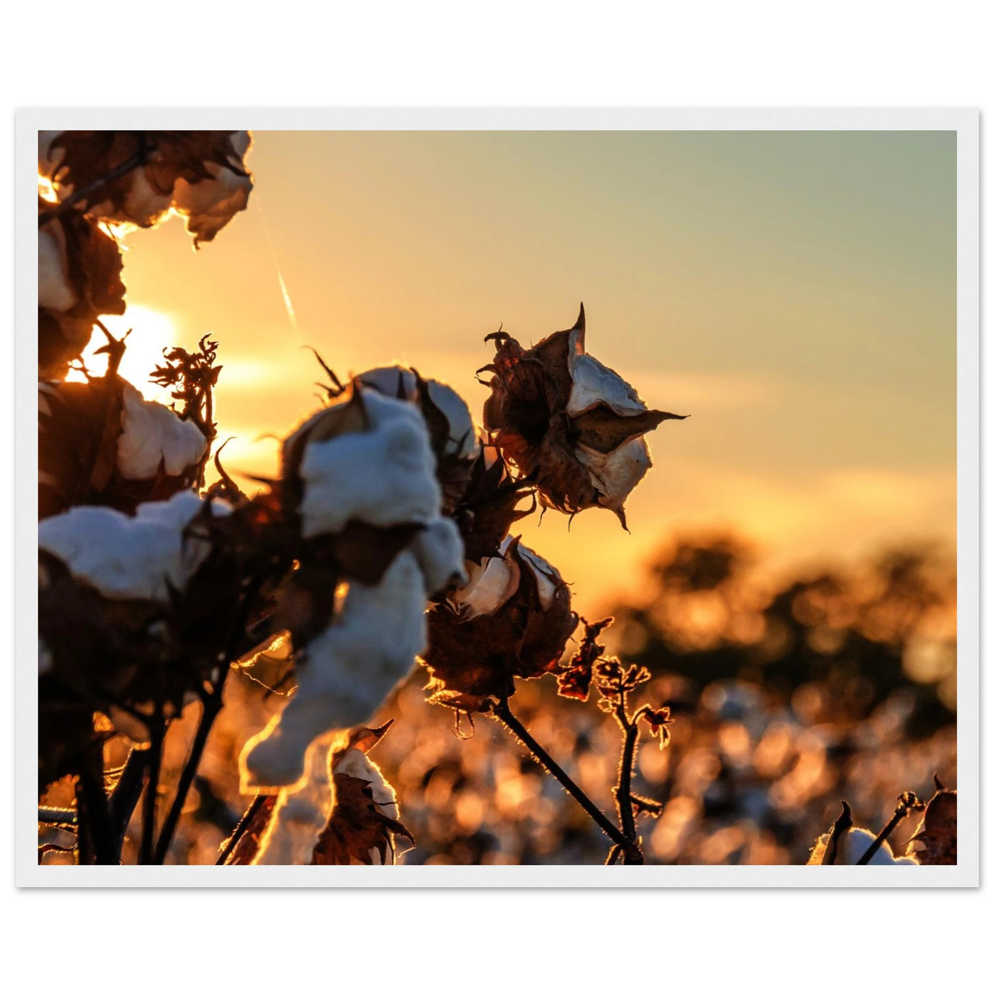 d6cdf8d3-17f2-448d-994d-7ef3bae22d64