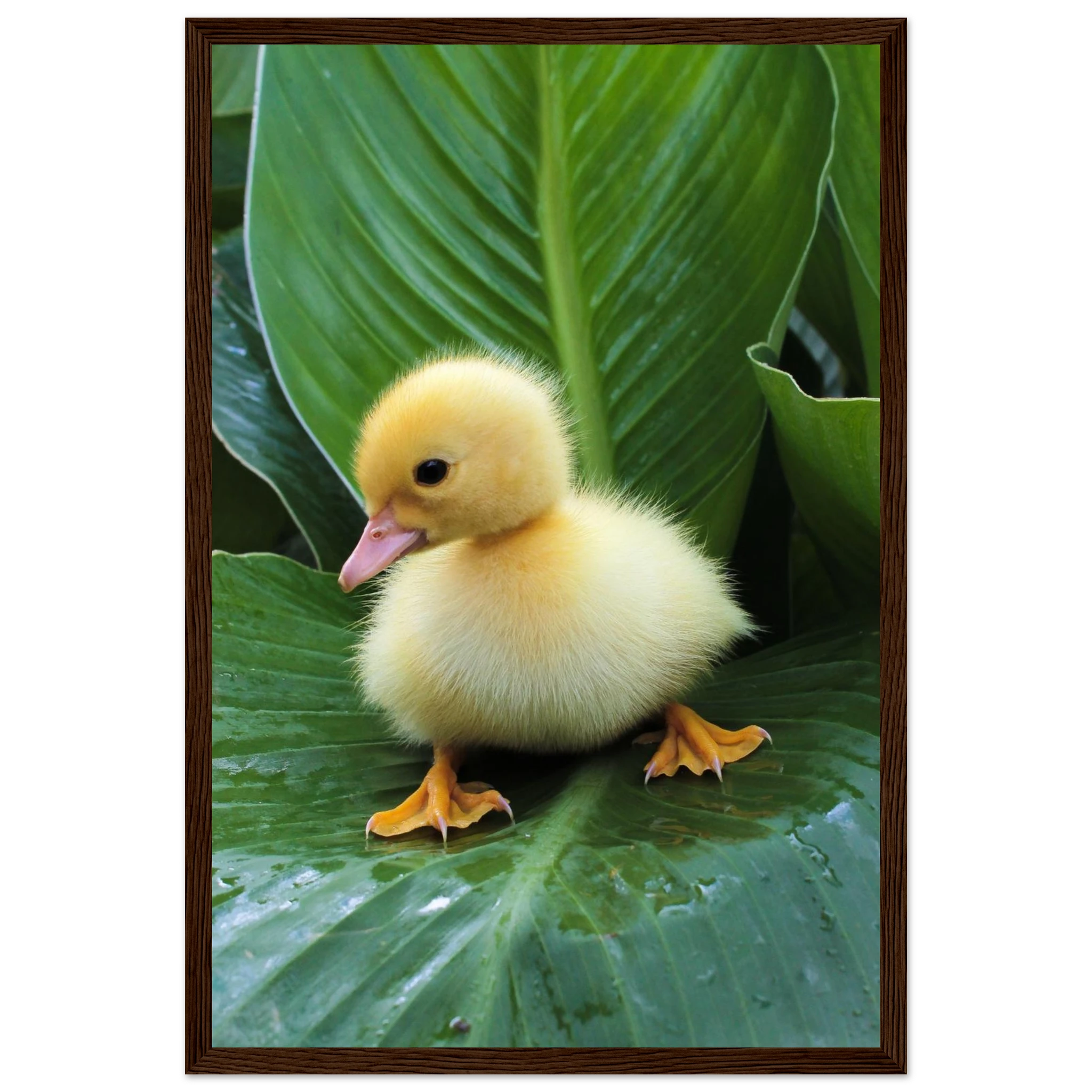 d6dd7106-d4dc-477e-af58-a387f18a7165