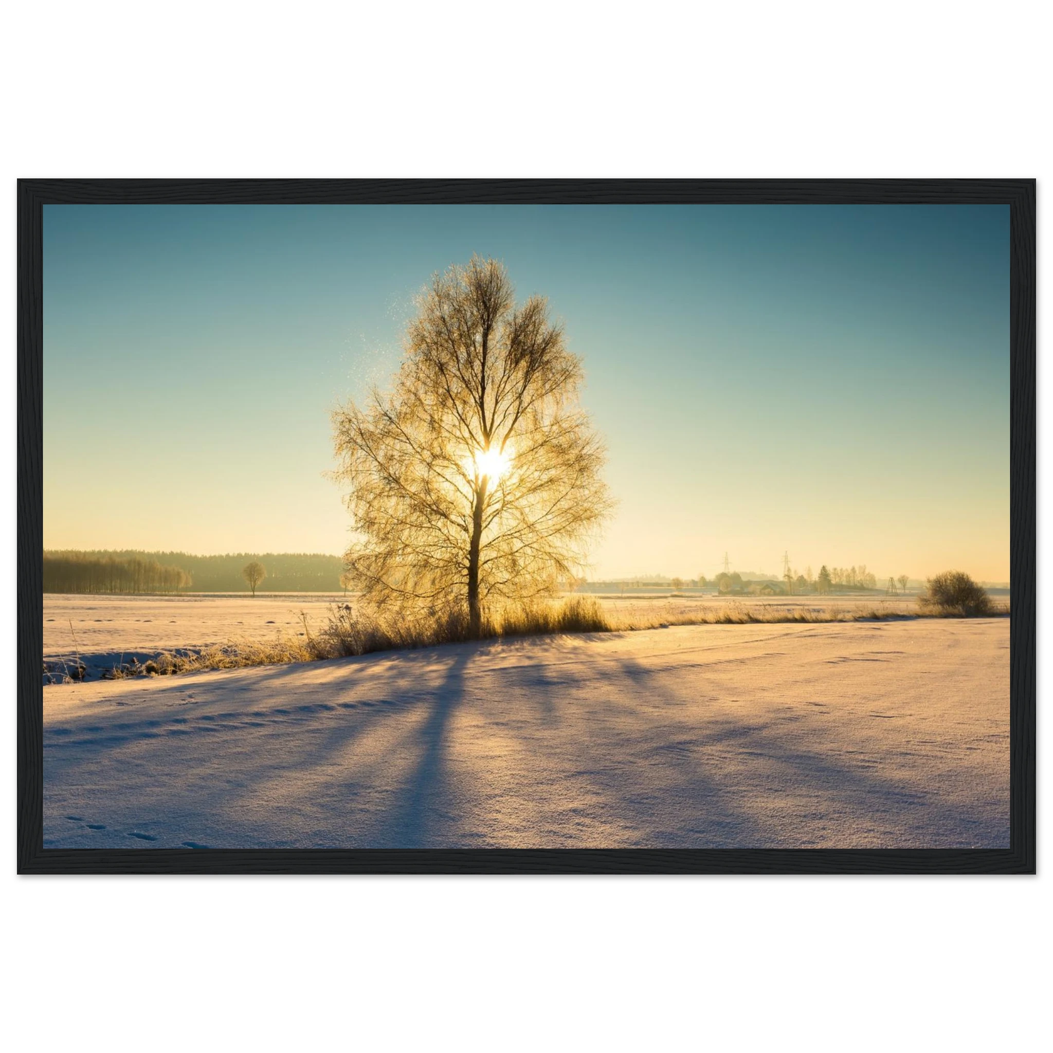 d72c52e0-28cc-4f74-a81c-cf6af4fbb8bd