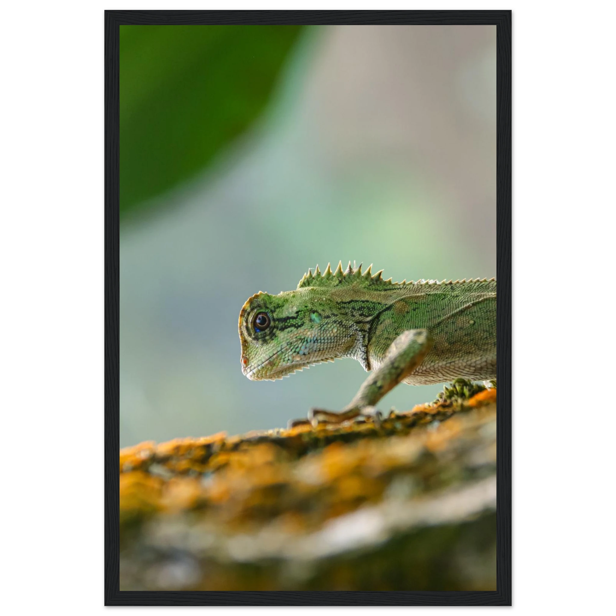 d7406883-f676-4e51-8785-de3f8fdcd2b1