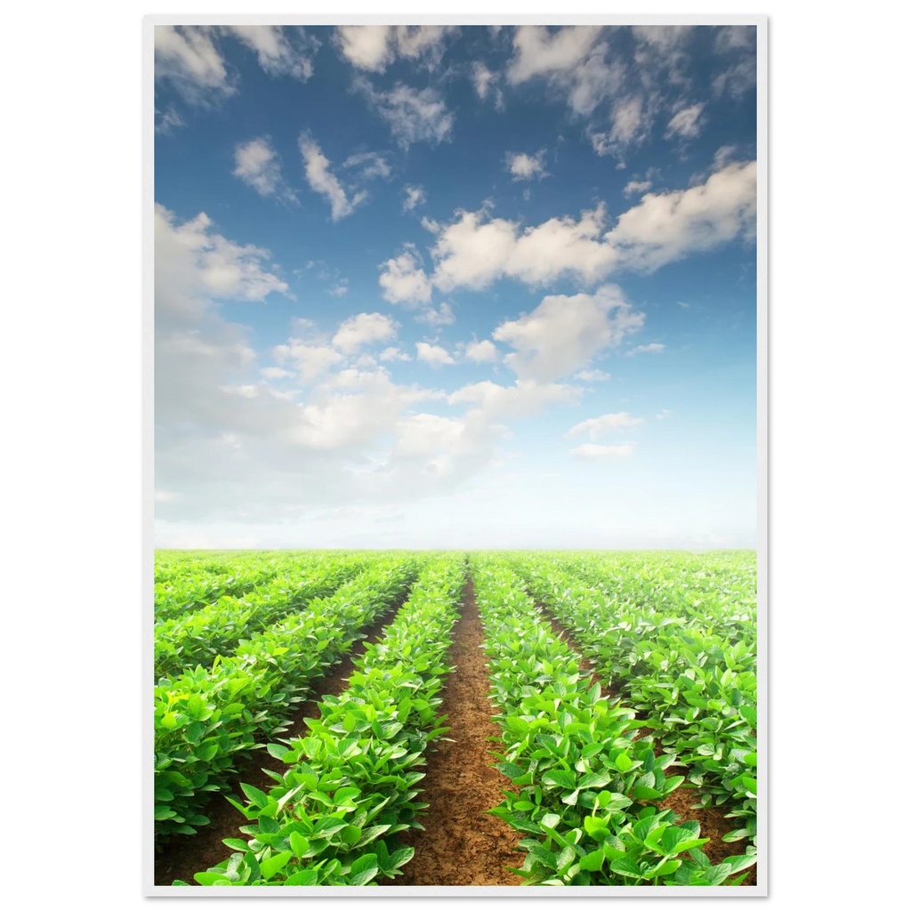 d74b7890-5fb8-4331-9f73-d9228cbb8541