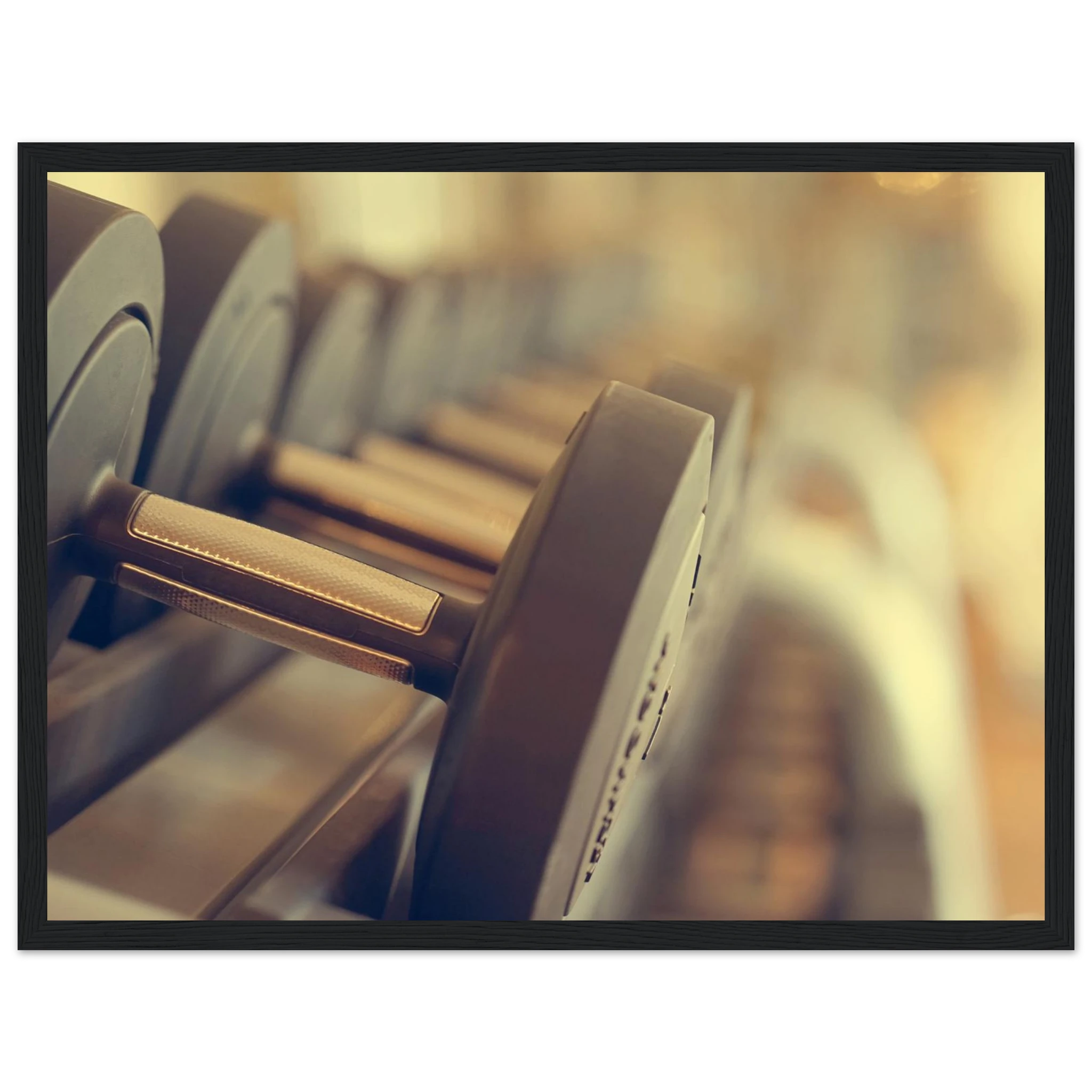 d767060f-11ec-44bb-87fd-b1537848d93b