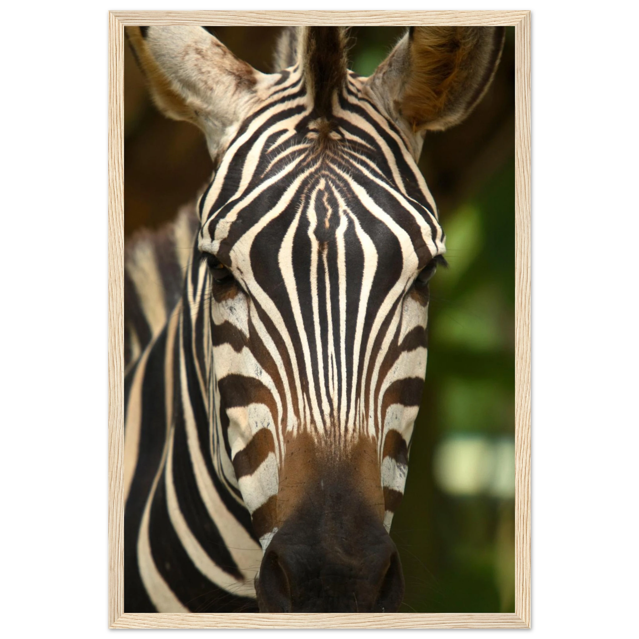 d788ada3-d21c-4142-8538-abcb27a383ac