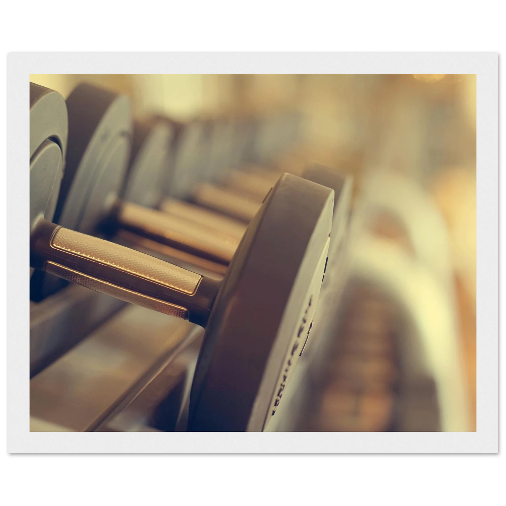 d79430b8-878d-46e2-8e53-5cf9515a0310